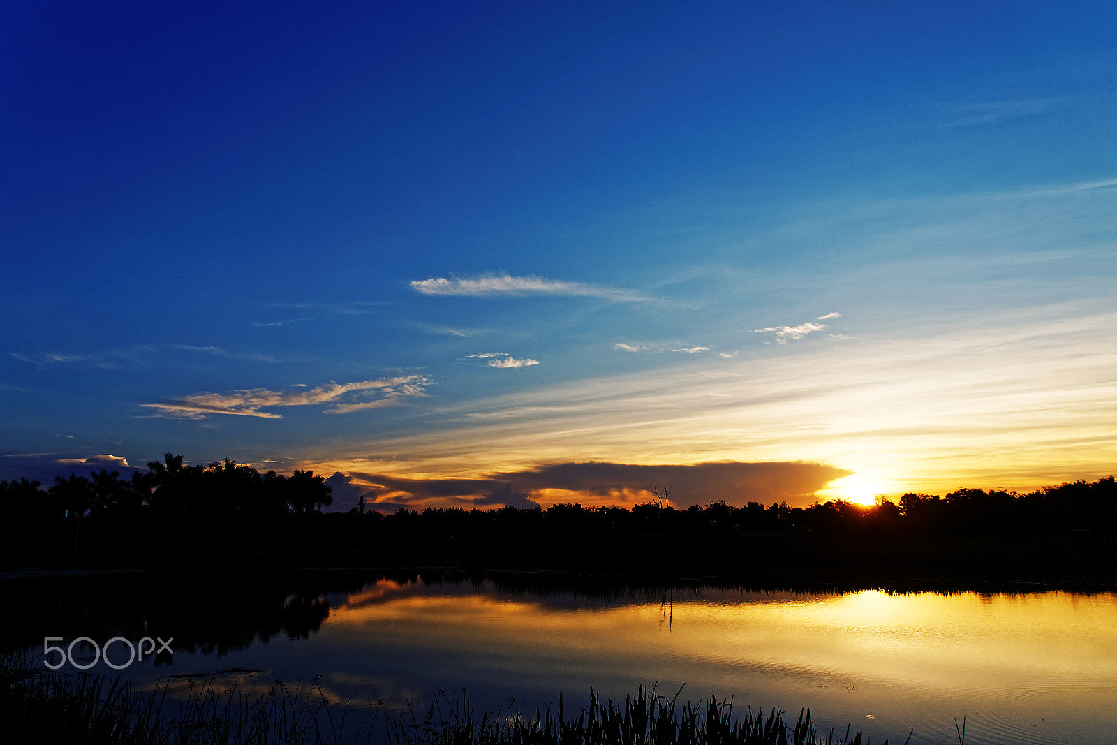 Olympus OM-D E-M10 sample photo. Sunrise reflection green cay wetlands florida photography