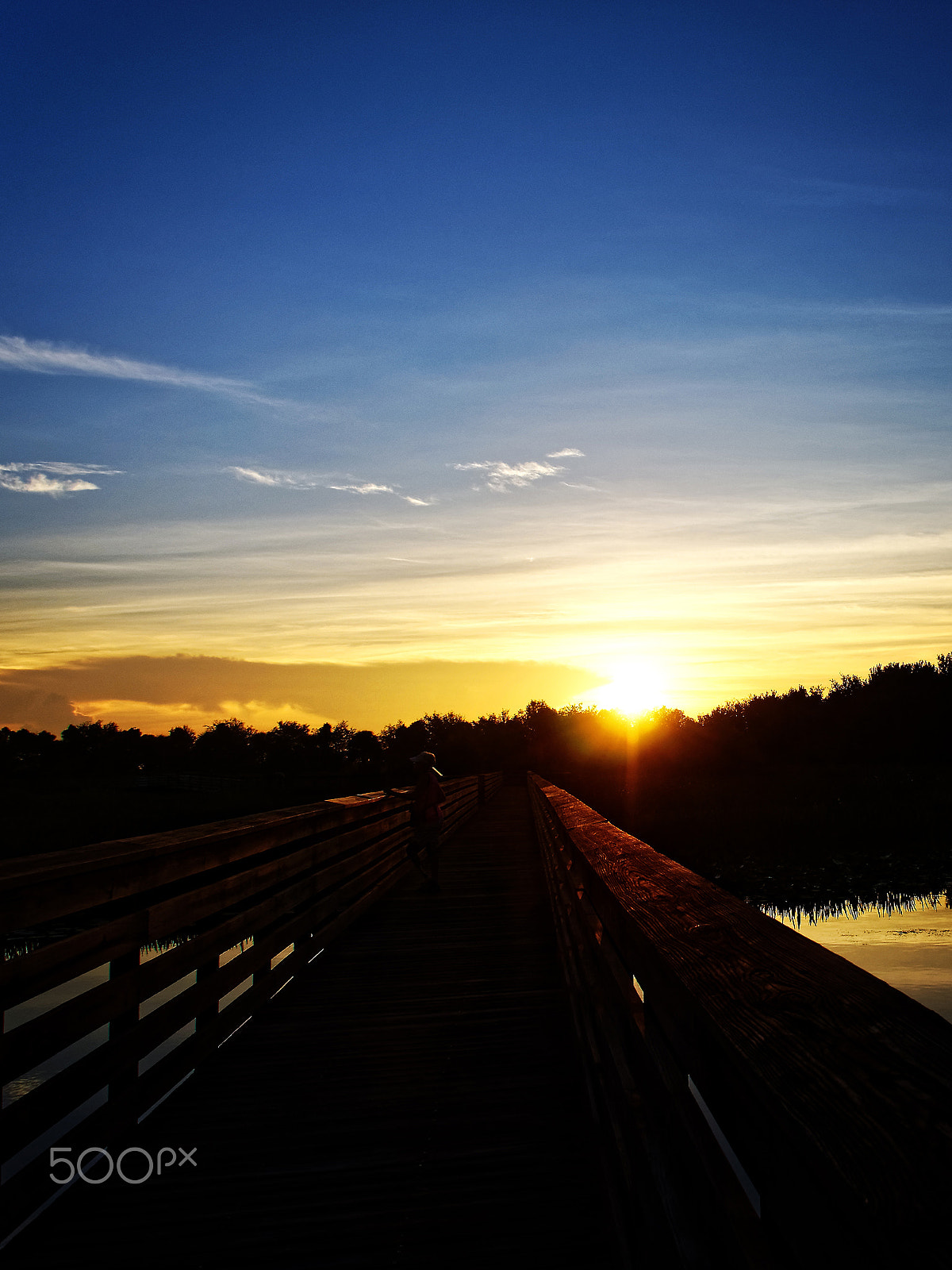 Olympus OM-D E-M10 sample photo. Person on boardwalk watching sunset in florida wetlands photography