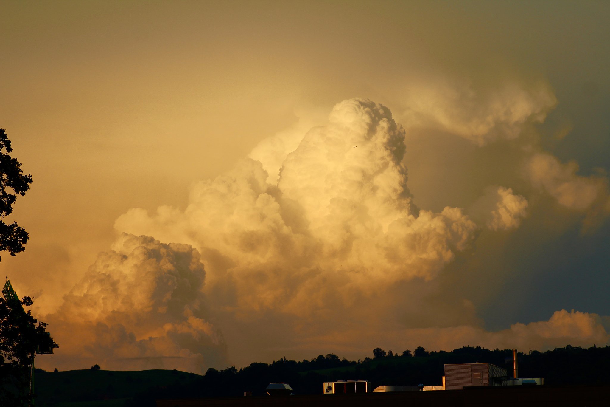 Canon EF75-300mm f/4-5.6 sample photo
