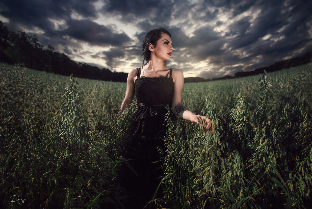 Canon EF-S 10-18mm F4.5–5.6 IS STM sample photo. Dark summer photography