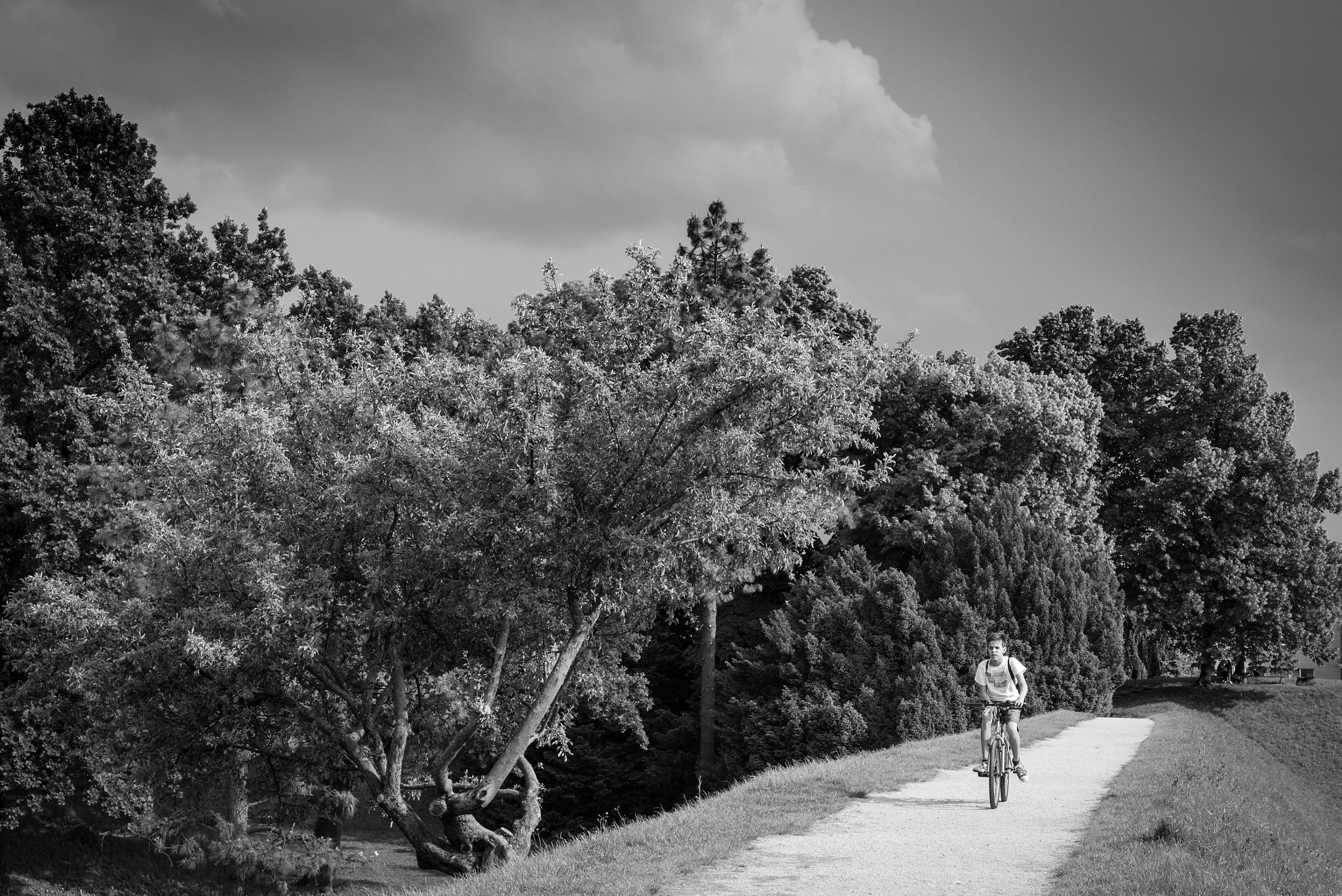 Nikon D610 + Sigma 50mm F1.4 EX DG HSM sample photo. Hurrying home before the rain photography