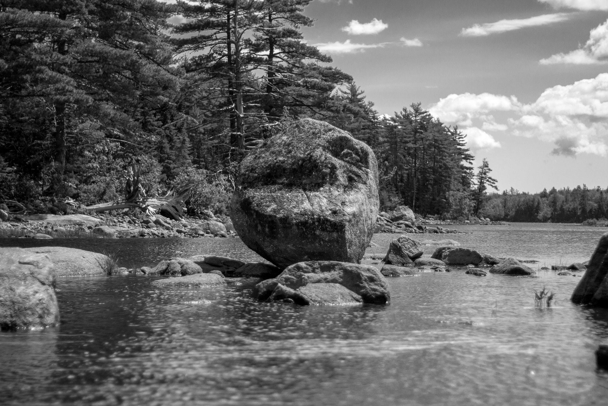 Canon EOS 700D (EOS Rebel T5i / EOS Kiss X7i) + Canon EF 50mm f/1.8 sample photo. Boulder country photography