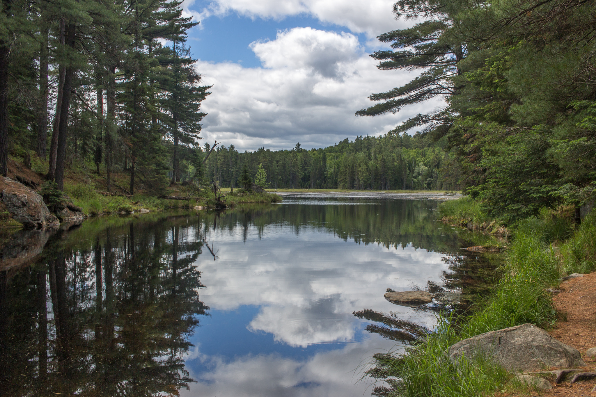 Canon EOS 100D (EOS Rebel SL1 / EOS Kiss X7) sample photo. Reflection | algonquin provincial park | ontario photography