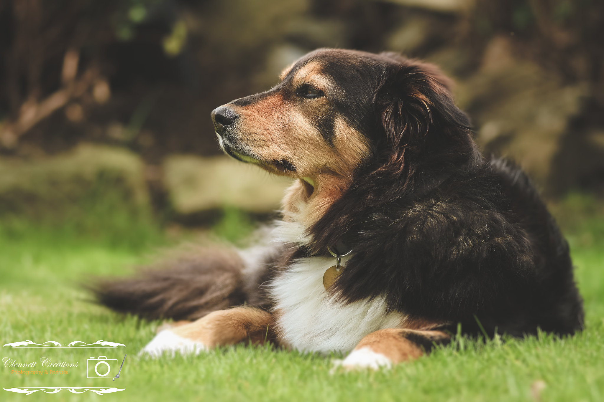 Sigma 105mm F2.8 EX DG Macro sample photo. Smelling the fresh air photography
