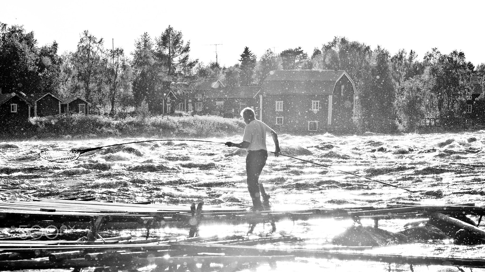 Sony Alpha DSLR-A580 sample photo. Fishing for salmon photography