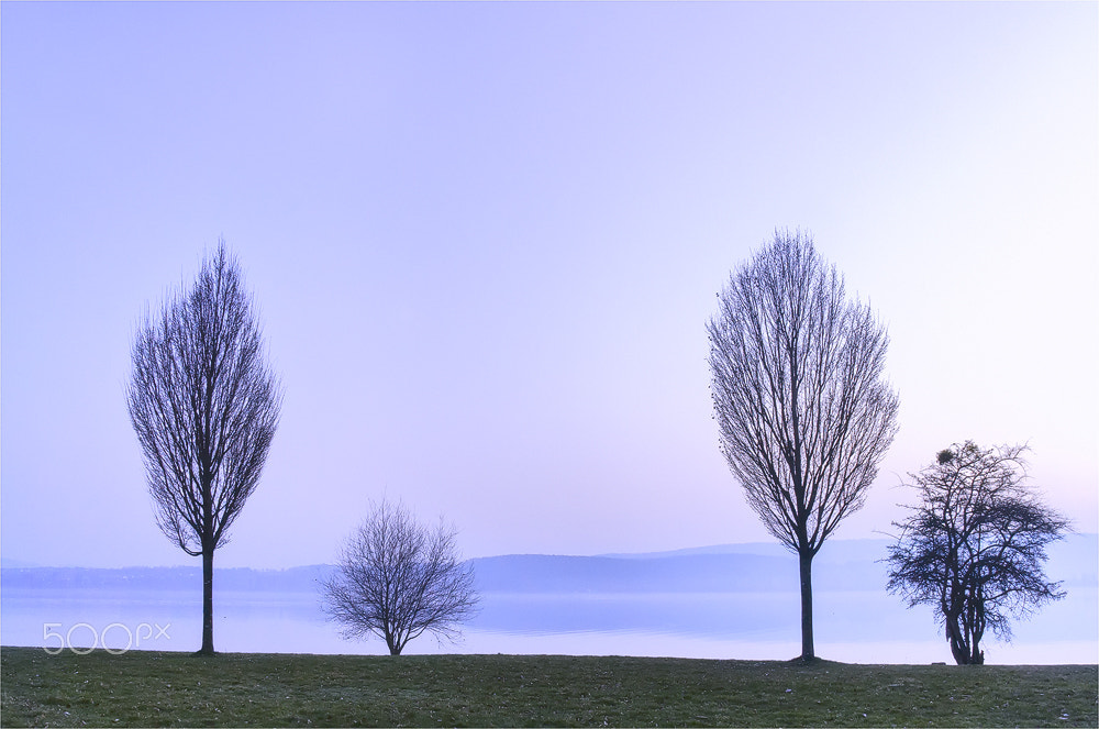 Sony Alpha NEX-6 + Sony Vario-Tessar T* E 16-70mm F4 ZA OSS sample photo. In the early morning ii photography