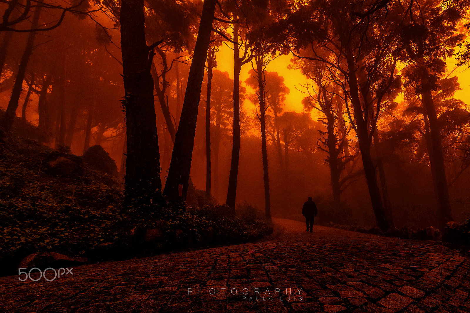 Canon EF-S 10-18mm F4.5–5.6 IS STM sample photo. Burning path photography