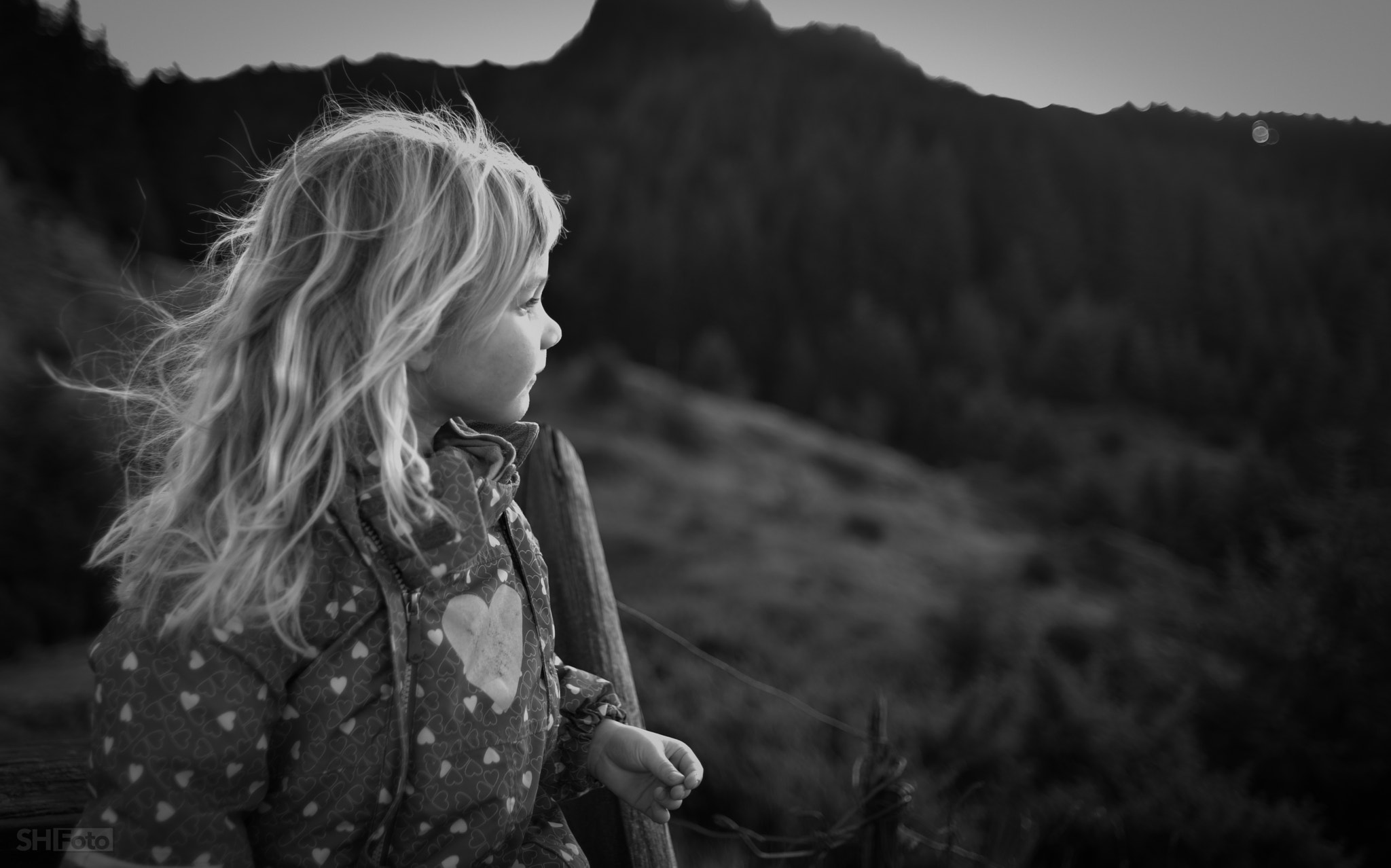 Nikon D810 + Nikon AF Nikkor 35mm F2D sample photo. Josefine photography