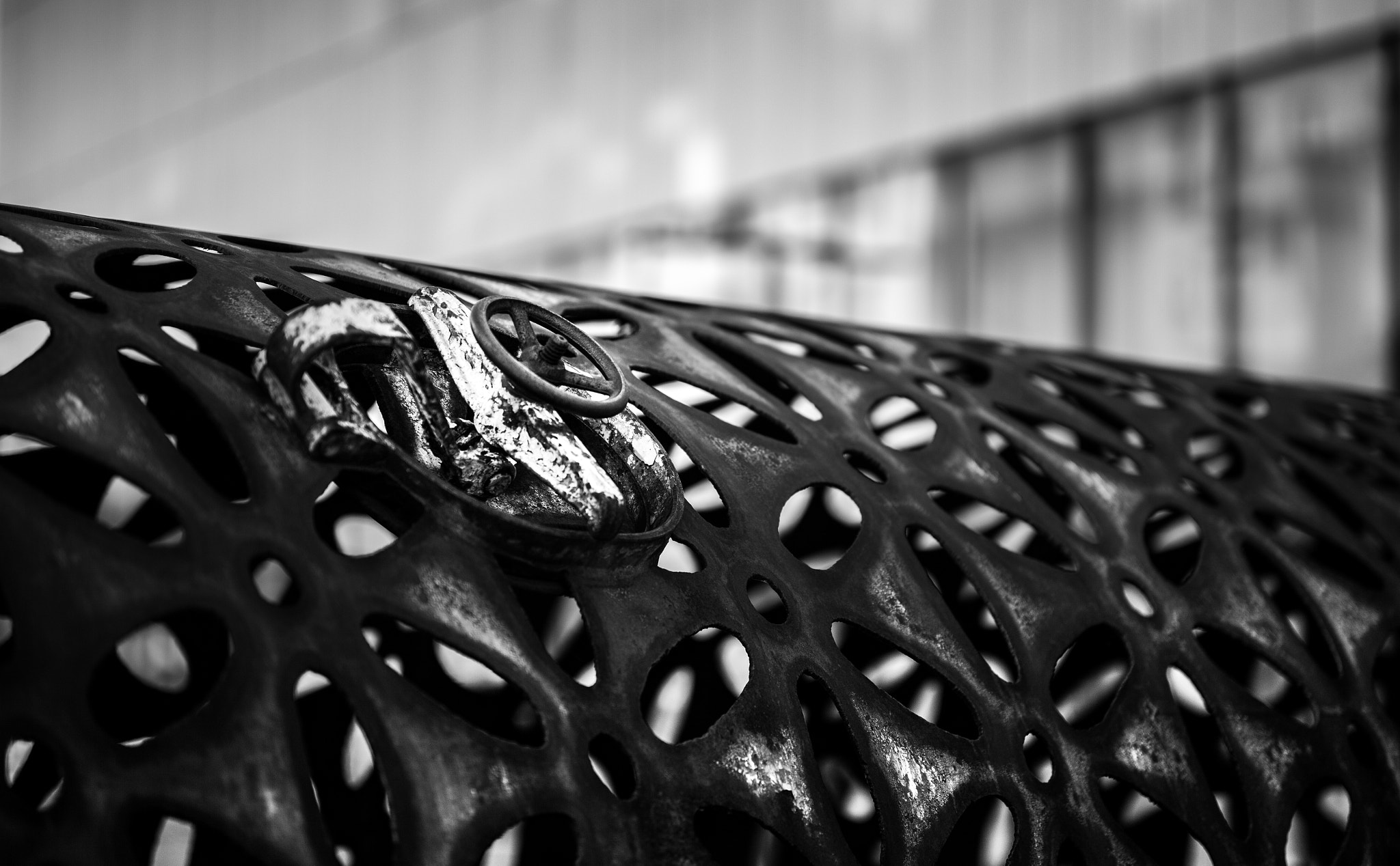 ZEISS Otus 85mm F1.4 sample photo. Cover photography