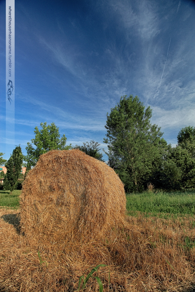 Canon EF-S 10-18mm F4.5–5.6 IS STM sample photo. Sunny day photography