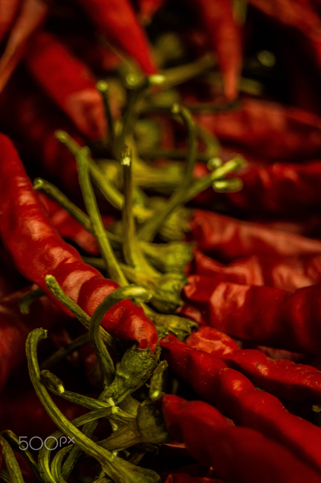 Canon EF 28-80mm f/3.5-5.6 sample photo. Hot photography