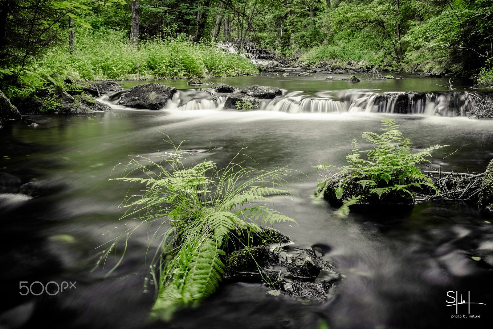 Sigma 18-50mm F2.8-4.5 DC OS HSM sample photo. Nature photography