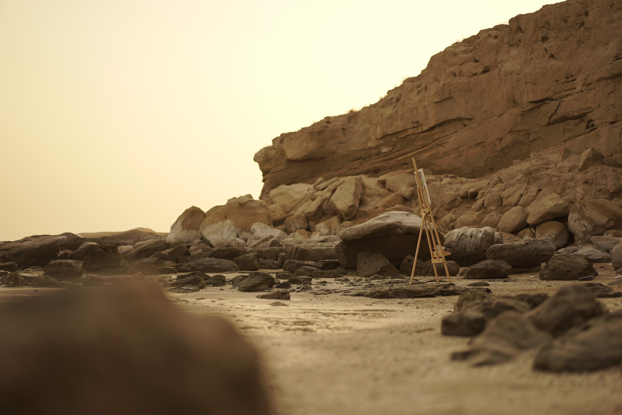 Sony a7S II + Sony Sonnar T* FE 55mm F1.8 ZA sample photo. Beautiful beach photography