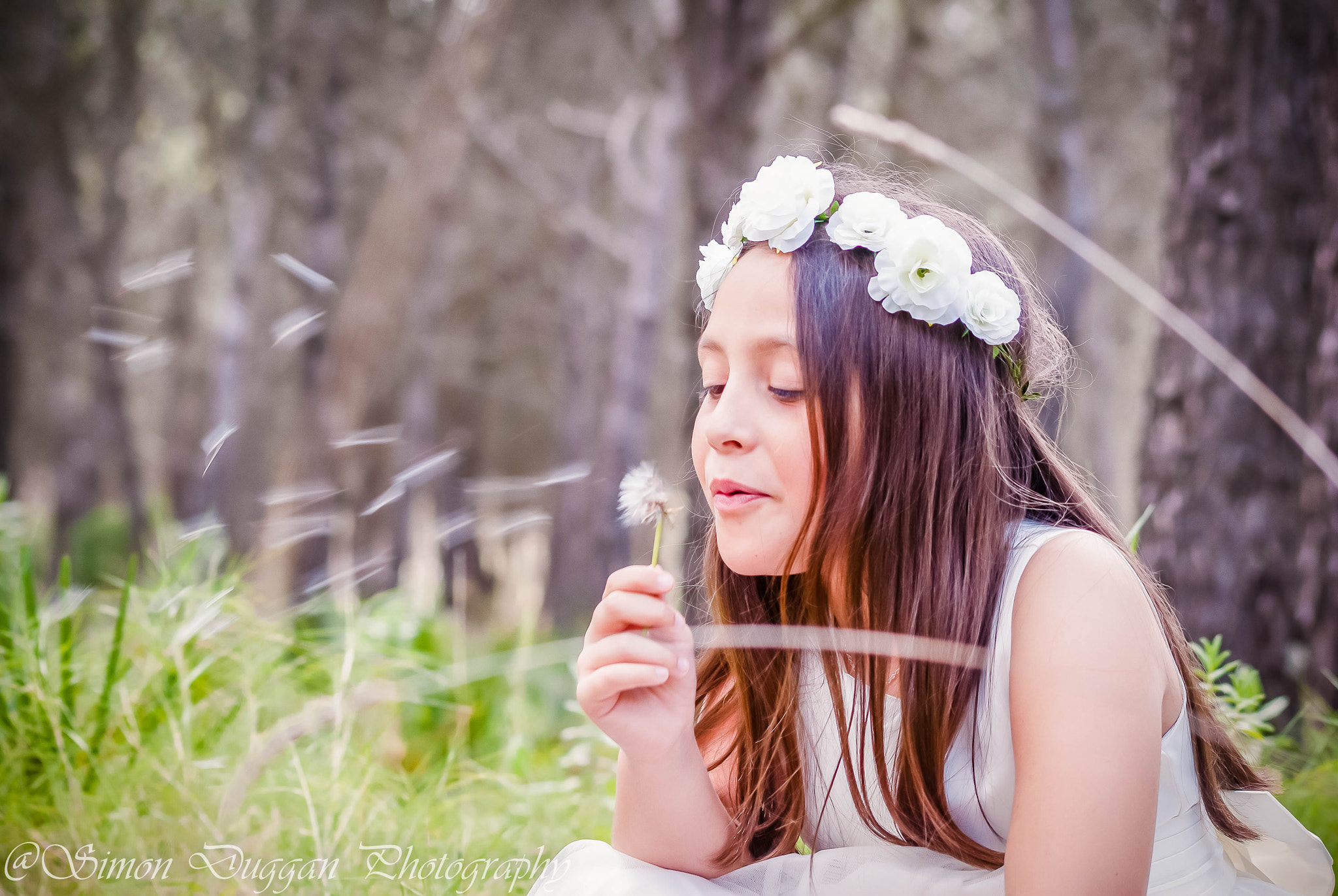 Sigma 70-300mm F4-5.6 APO DG Macro sample photo. A dreamy feel photography