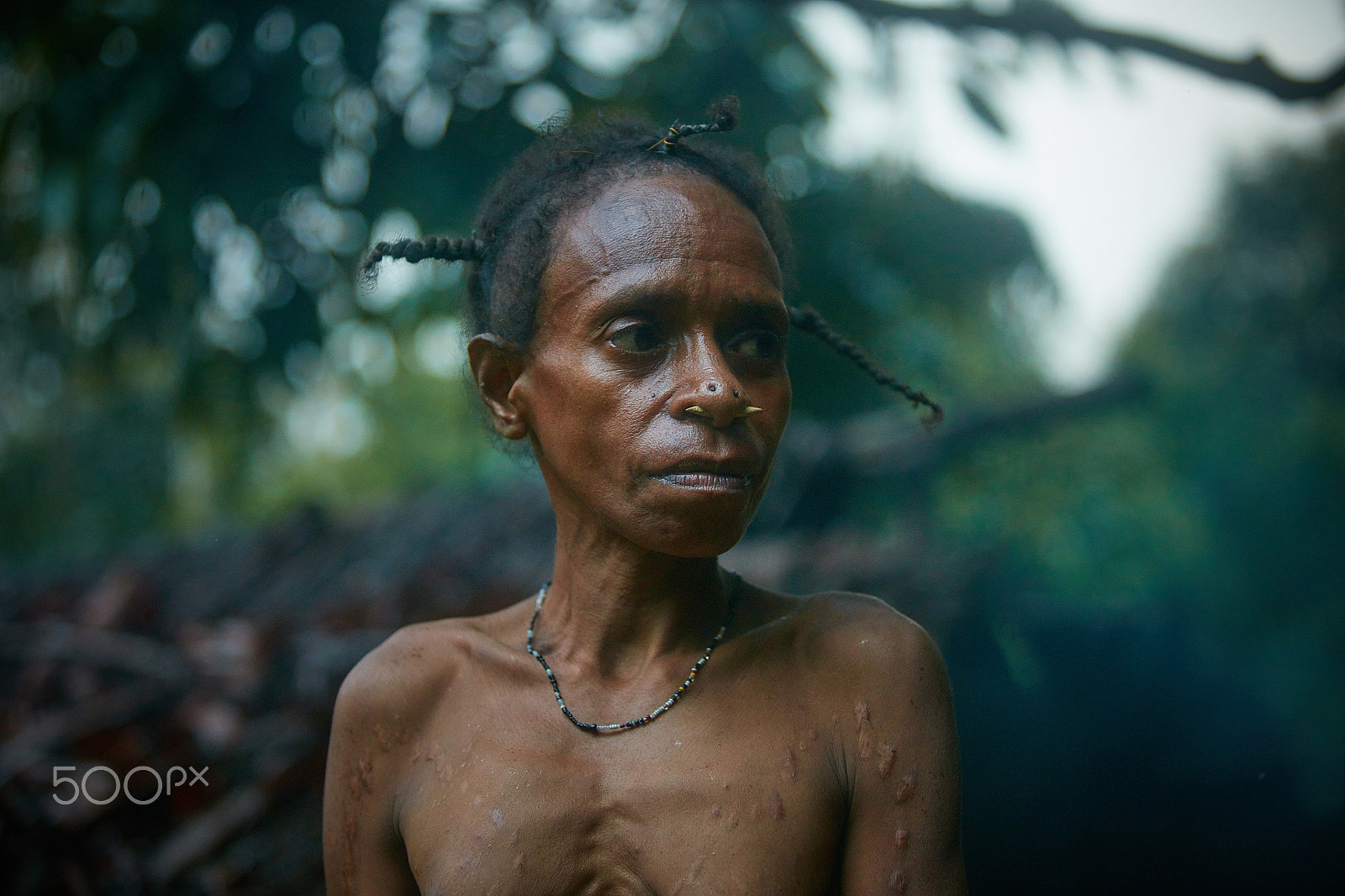 Canon EF 70-200mm F2.8L USM sample photo. The portrait of papuan photography
