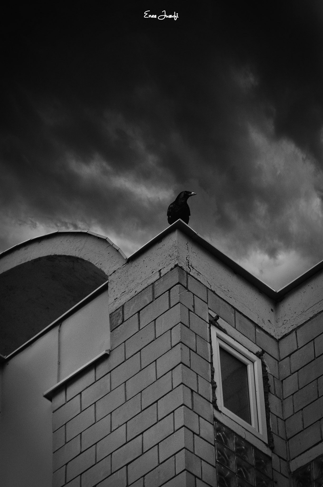 Sigma 70-200mm F2.8 EX DG OS HSM sample photo. The black morning . photography