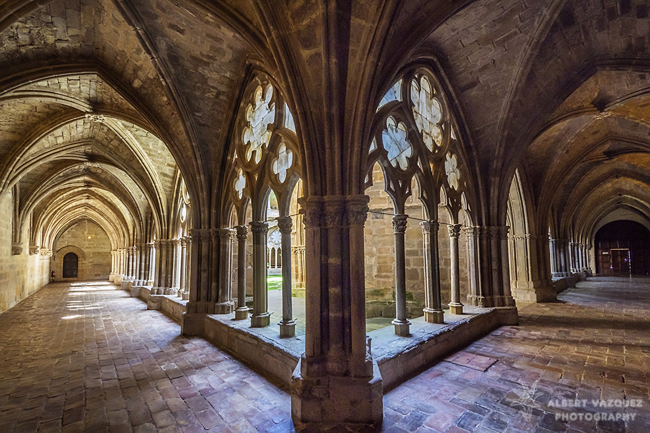 Olympus OM-D E-M1 + Panasonic Lumix G Vario 7-14mm F4 ASPH sample photo. Monasterio de santa maria de veruela photography