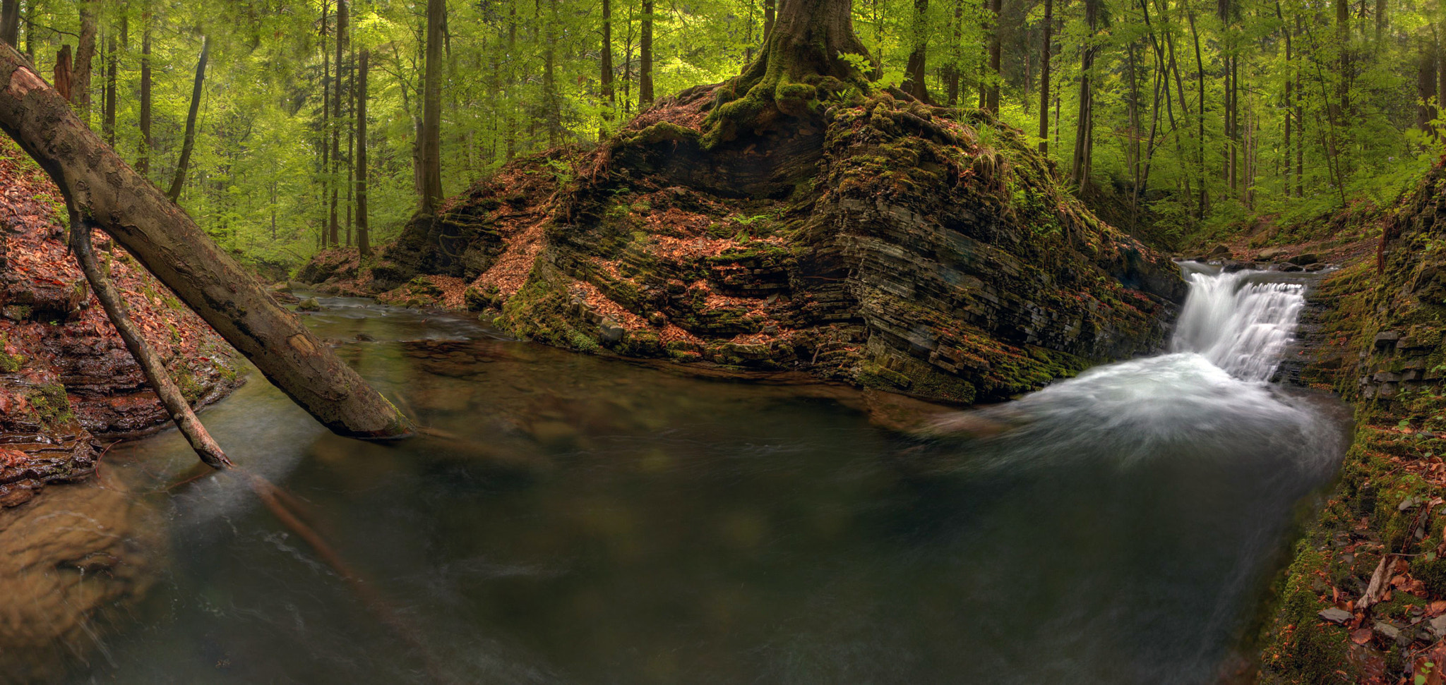Canon EF-S 10-18mm F4.5–5.6 IS STM sample photo. Satina photography