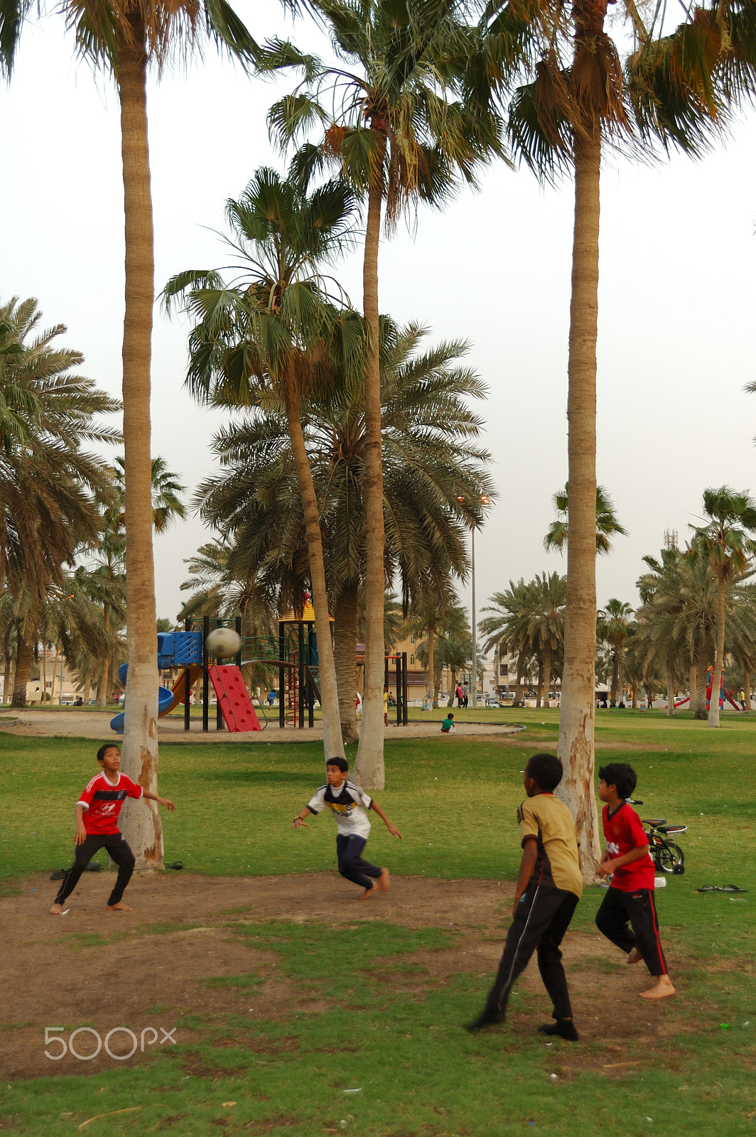 Nikon D70 sample photo. لًعب photography
