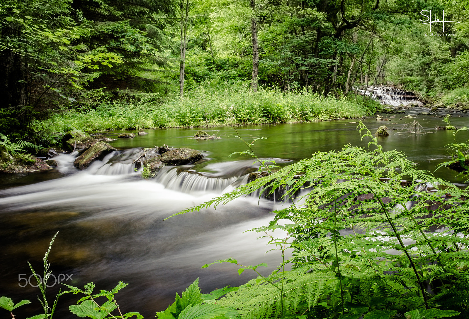 Sigma 18-50mm F2.8-4.5 DC OS HSM sample photo. The river photography