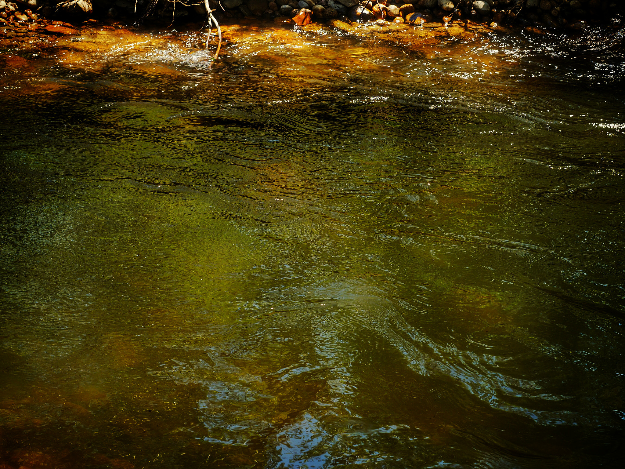 Olympus M.Zuiko Digital ED 12-40mm F2.8 Pro sample photo. Swimming hole in the run off from the snow in the mountains. 6/26 /16  photography