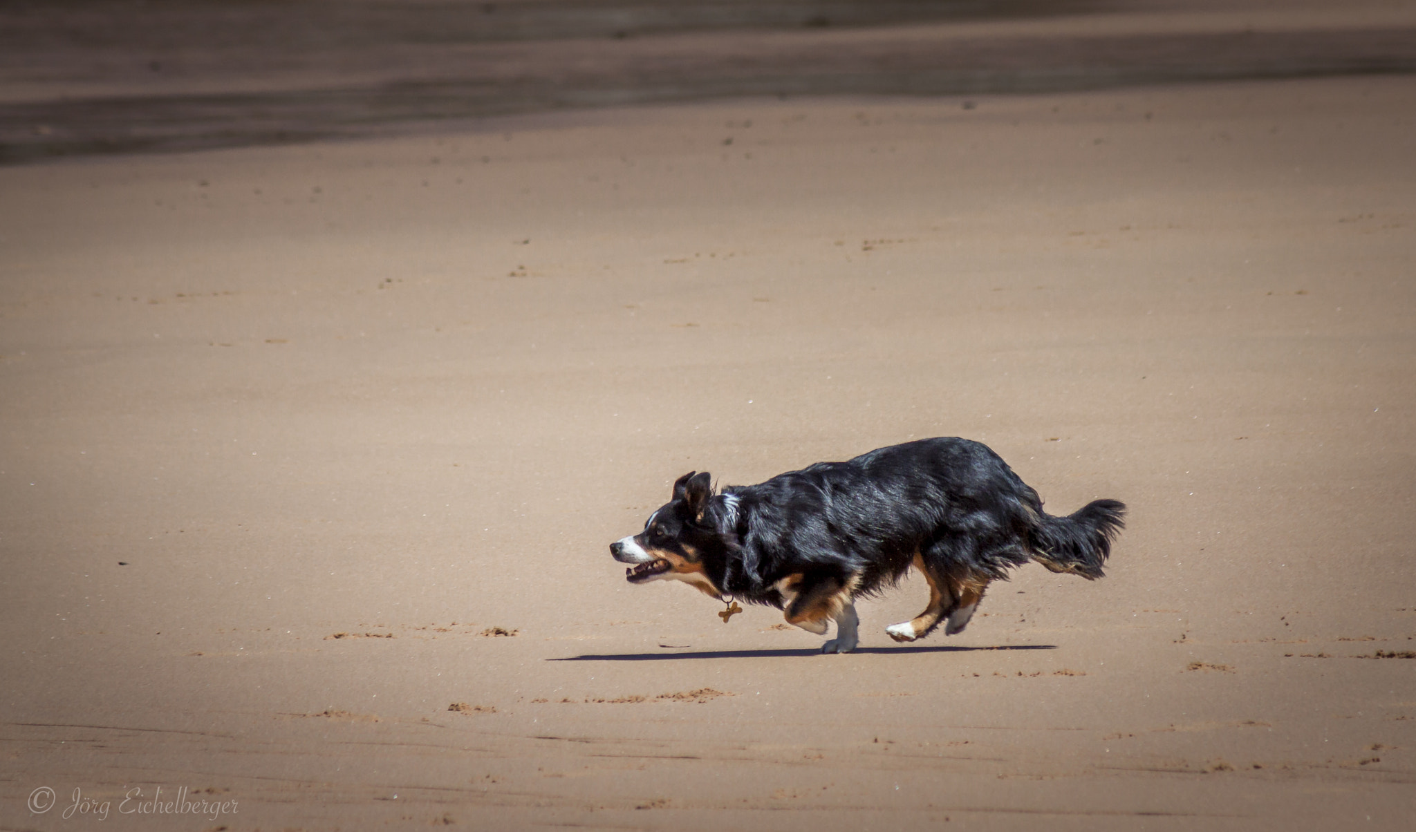 Canon EF 75-300mm F4.0-5.6 IS USM sample photo. Chasing photography