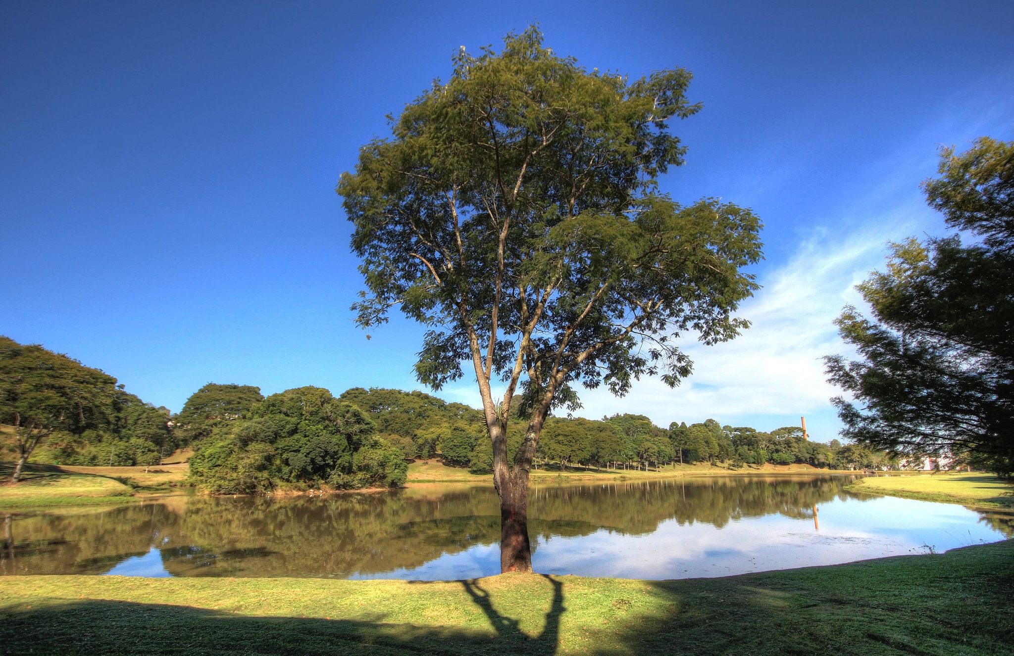 Sigma 10-20mm F4-5.6 EX DC HSM sample photo. Clear blue day photography