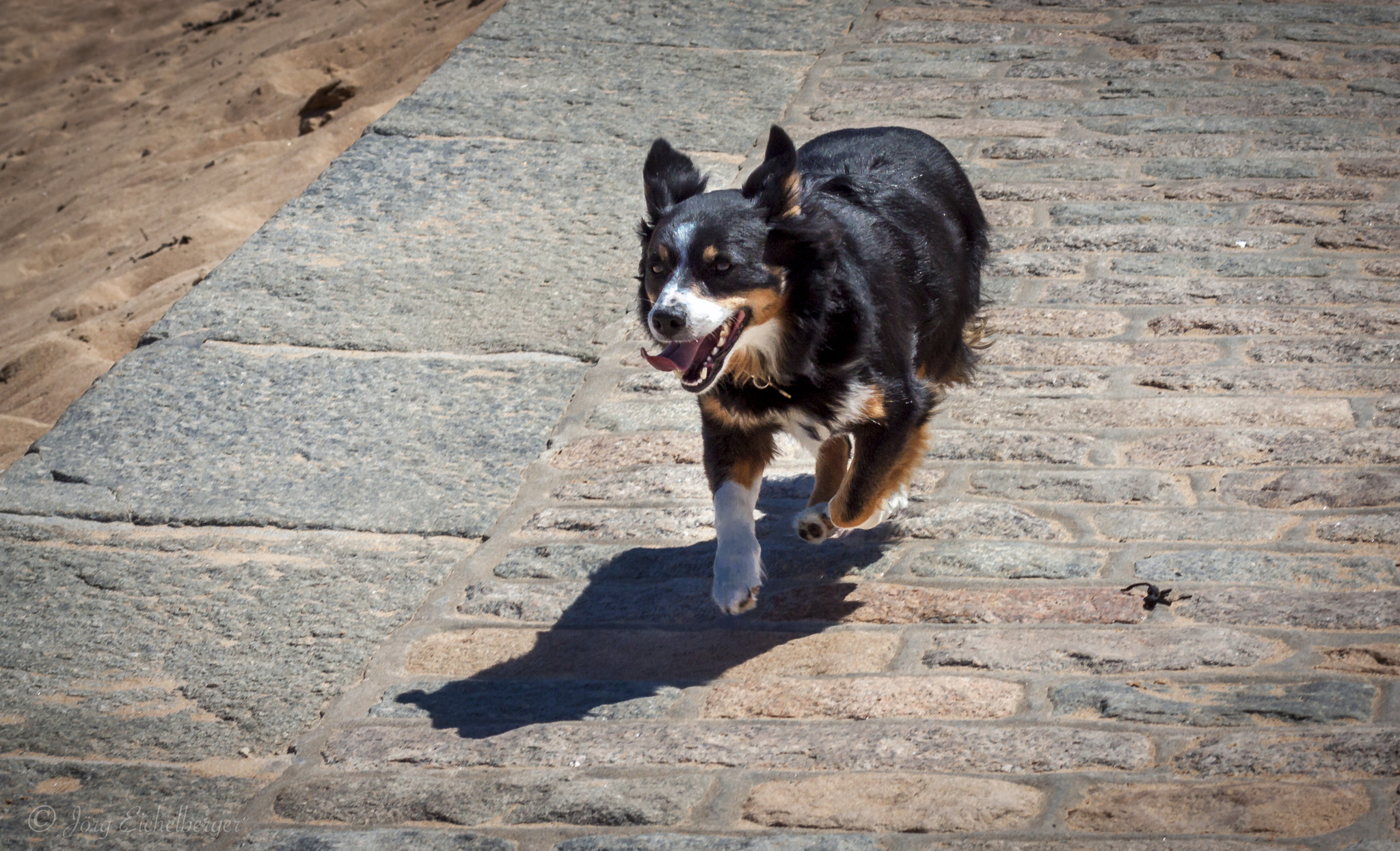 Canon EF 75-300mm F4.0-5.6 IS USM sample photo. Lunchtime fun is over photography