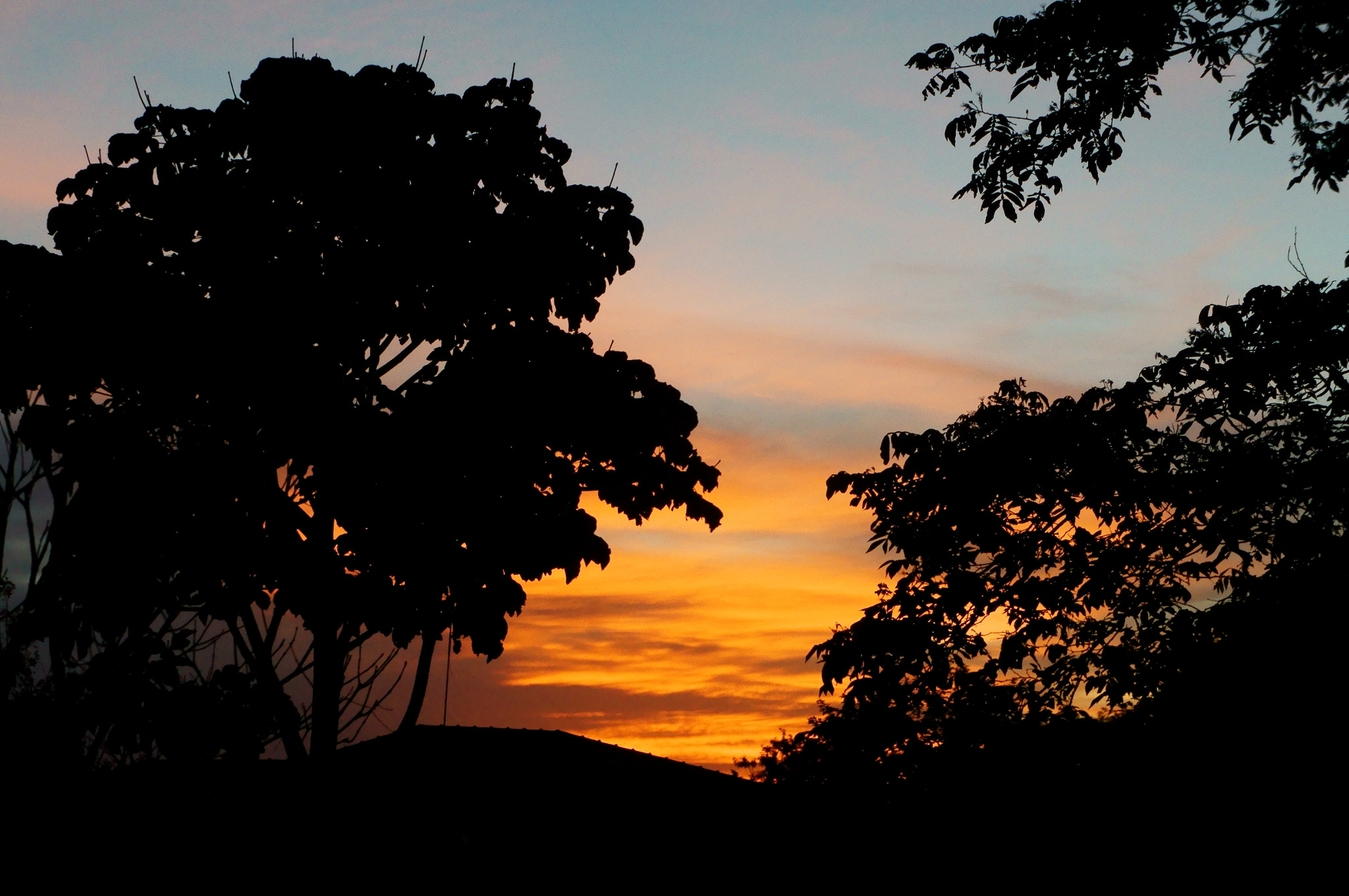 Sony Alpha NEX-C3 sample photo. Cast calendar photography