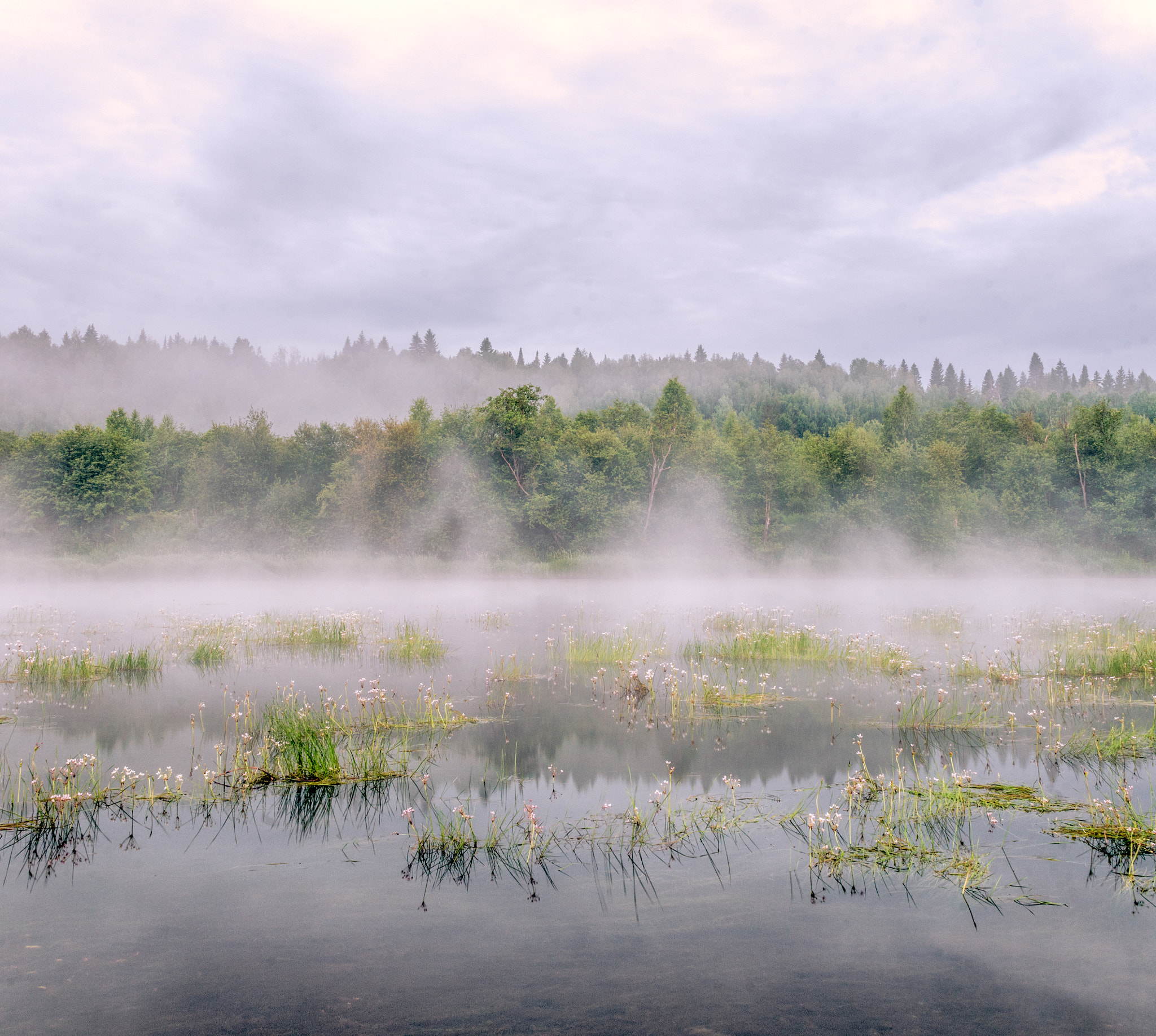 Nikon D300 + Sigma 30mm F1.4 EX DC HSM sample photo. Fog over the river photography