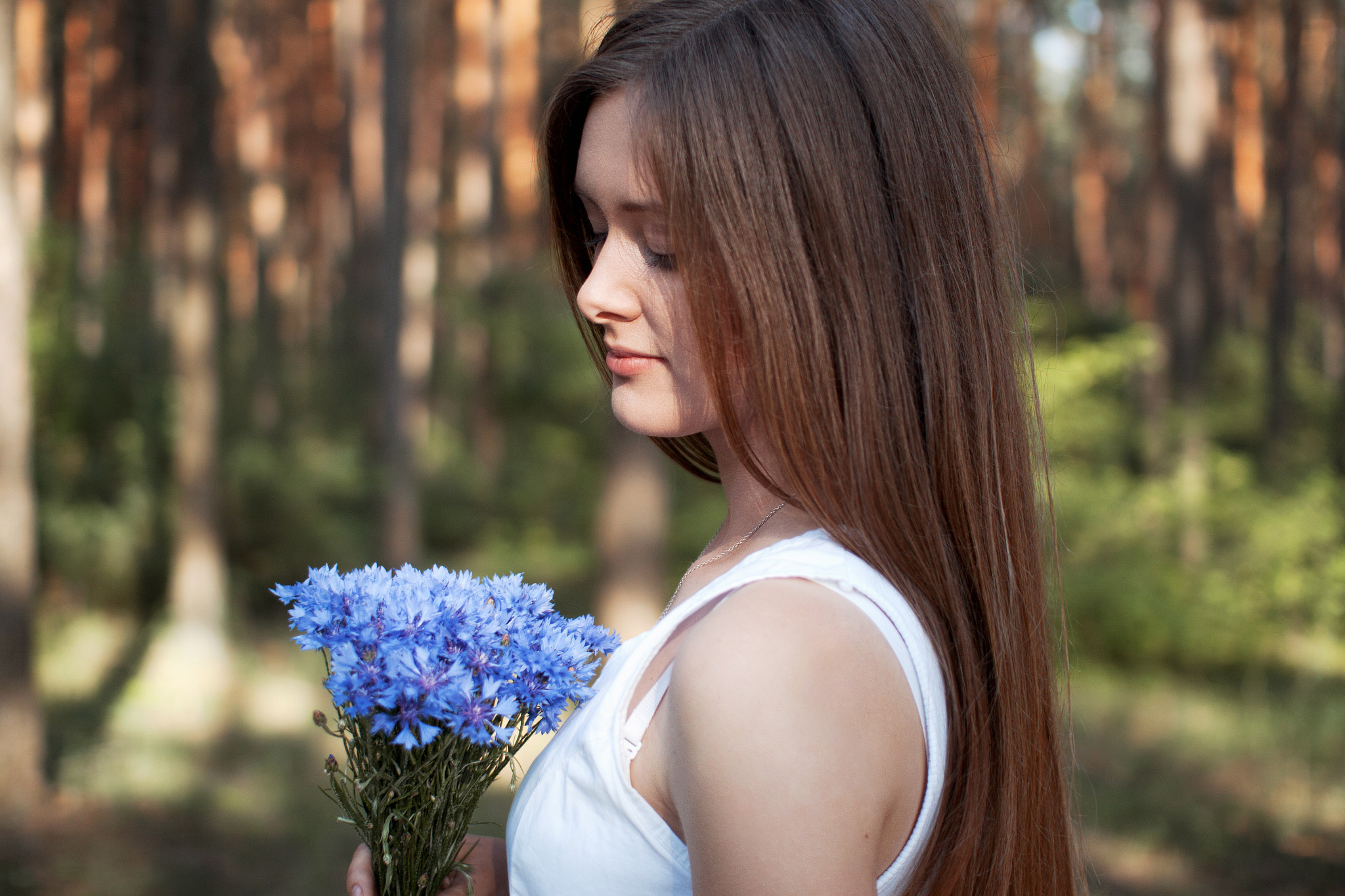 Sigma 30mm F1.4 EX DC HSM sample photo. Cornflowers photography