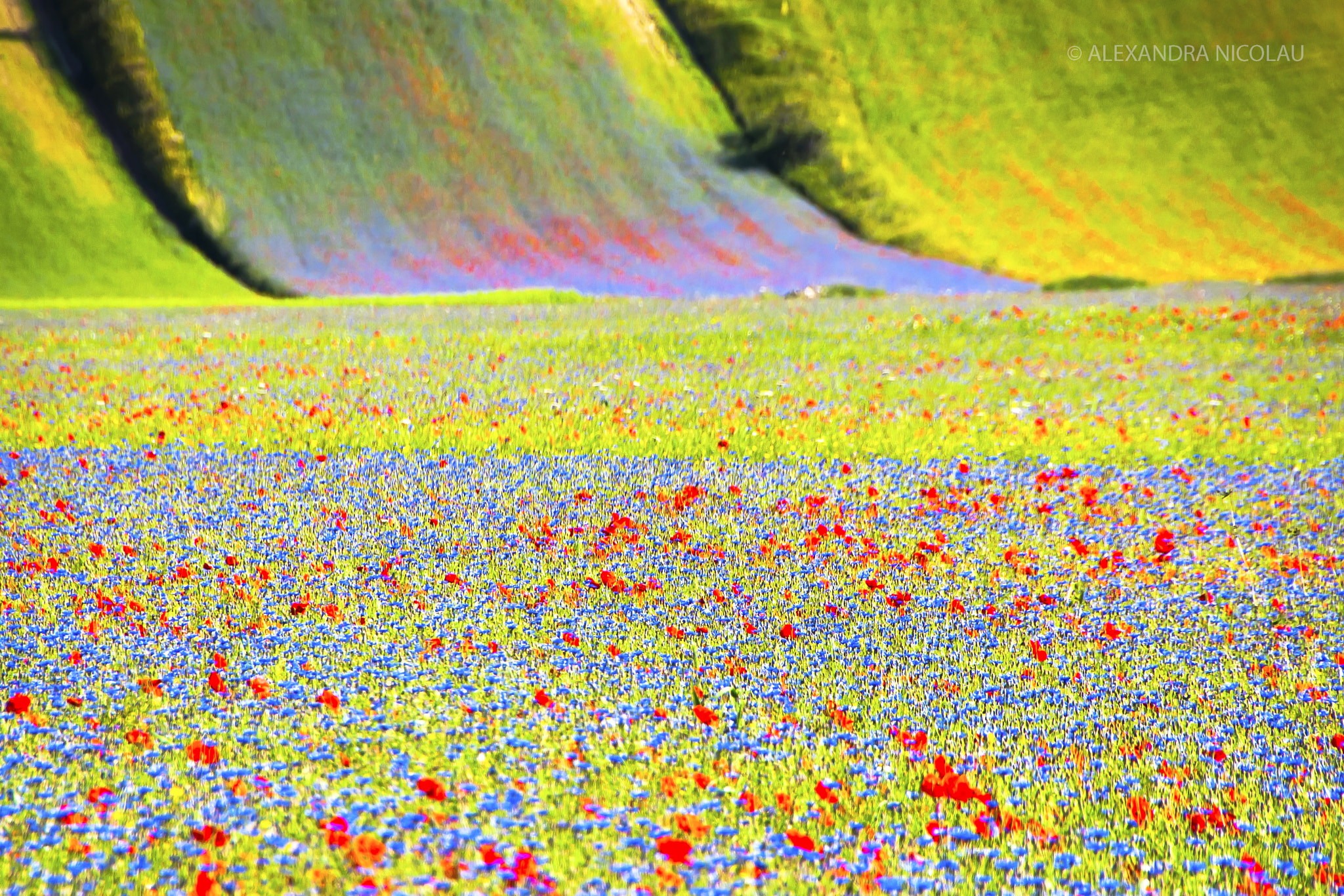 Canon EOS 400D (EOS Digital Rebel XTi / EOS Kiss Digital X) sample photo. Waterfall of colors photography