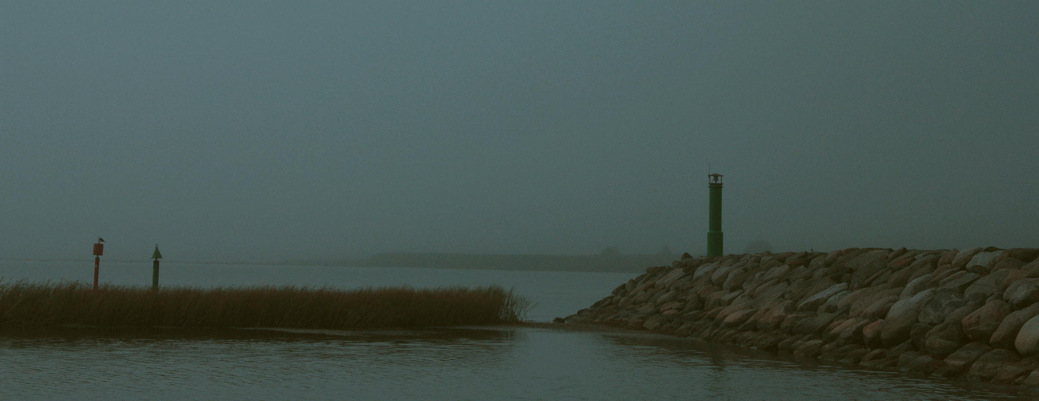 Canon EF 24-85mm F3.5-4.5 USM sample photo. Foggy day photography