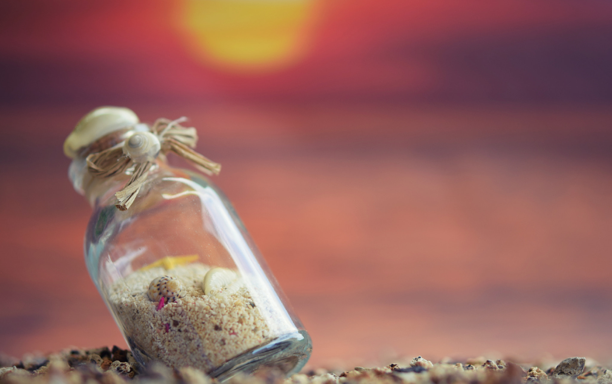 Nikon AF-S Micro-Nikkor 60mm F2.8G ED sample photo. Beach treasures photography
