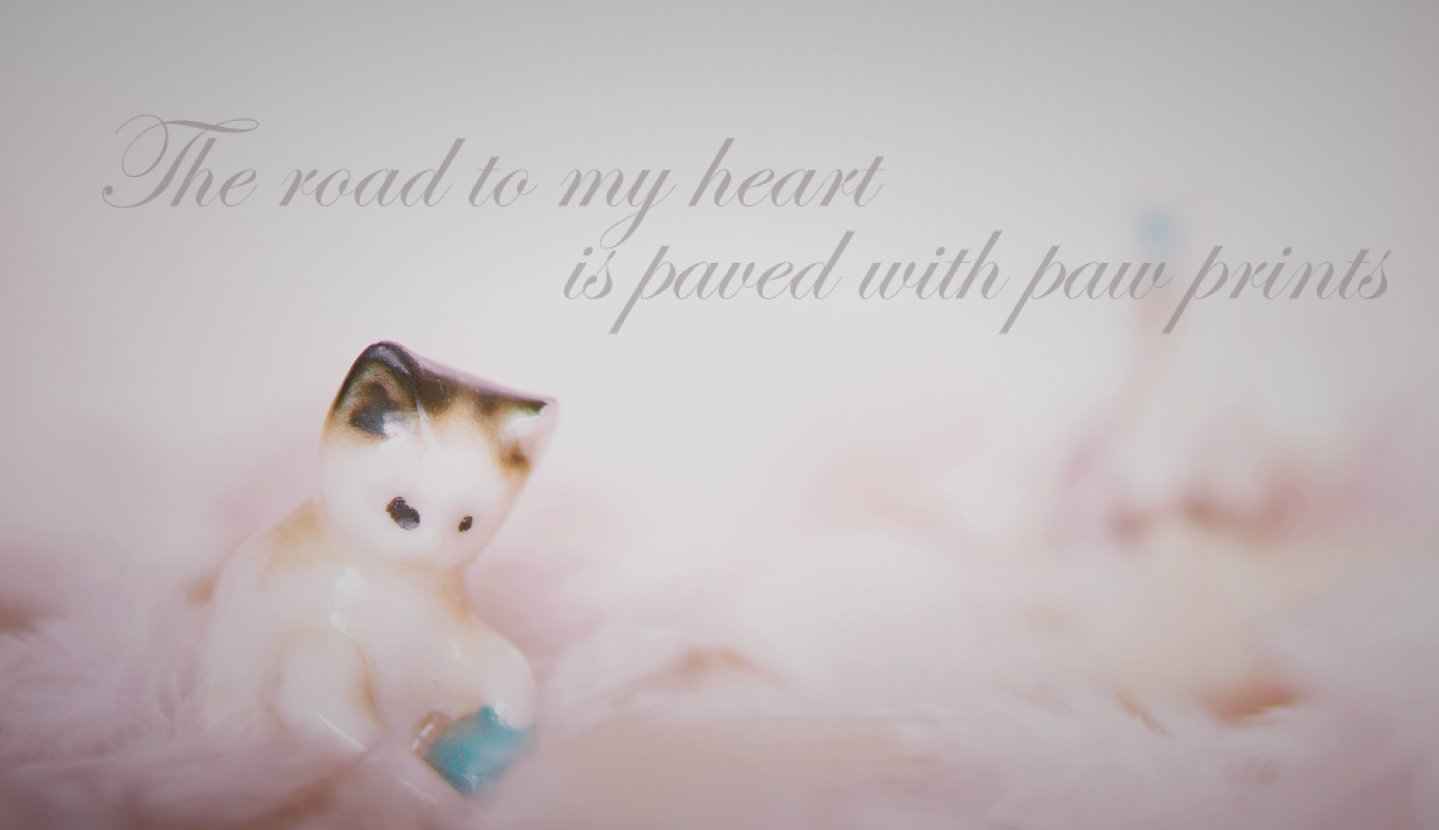 Nikon AF-S Micro-Nikkor 60mm F2.8G ED sample photo. Road to my heart photography