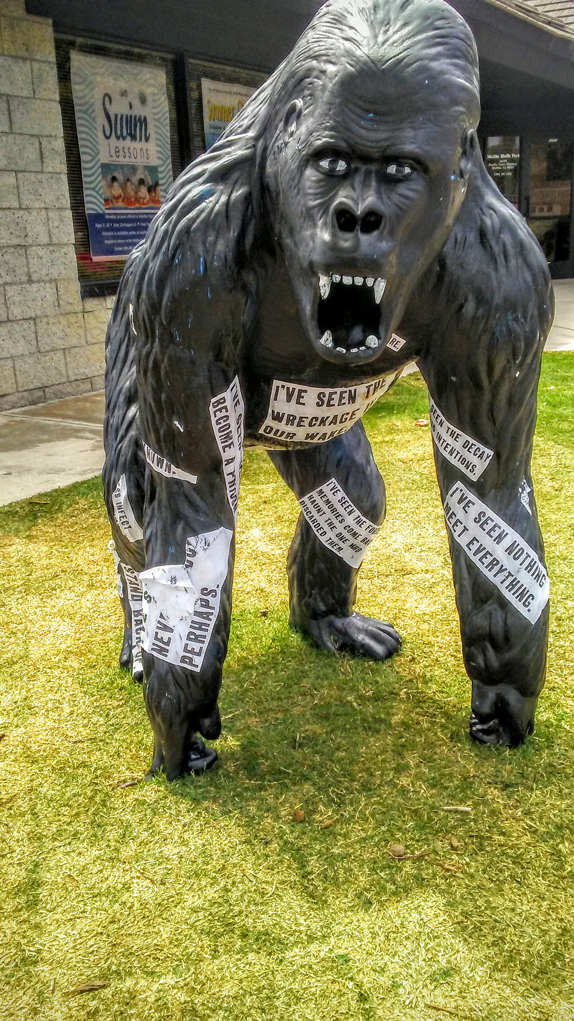 LG M1 sample photo. Gorilla in malibu photography