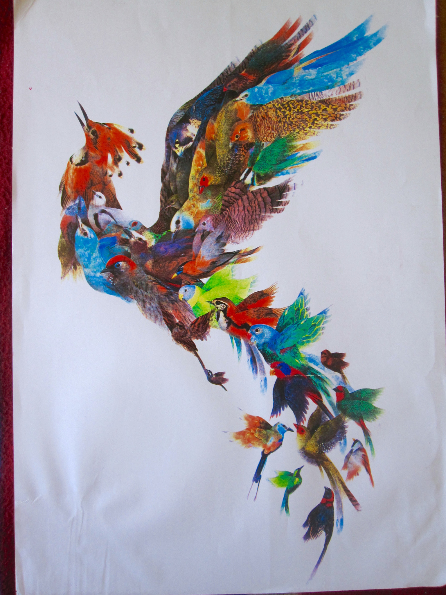 Canon PowerShot SD780 IS (Digital IXUS 100 IS / IXY Digital 210 IS) sample photo. The mythical "simorgh": thirty-birds photography