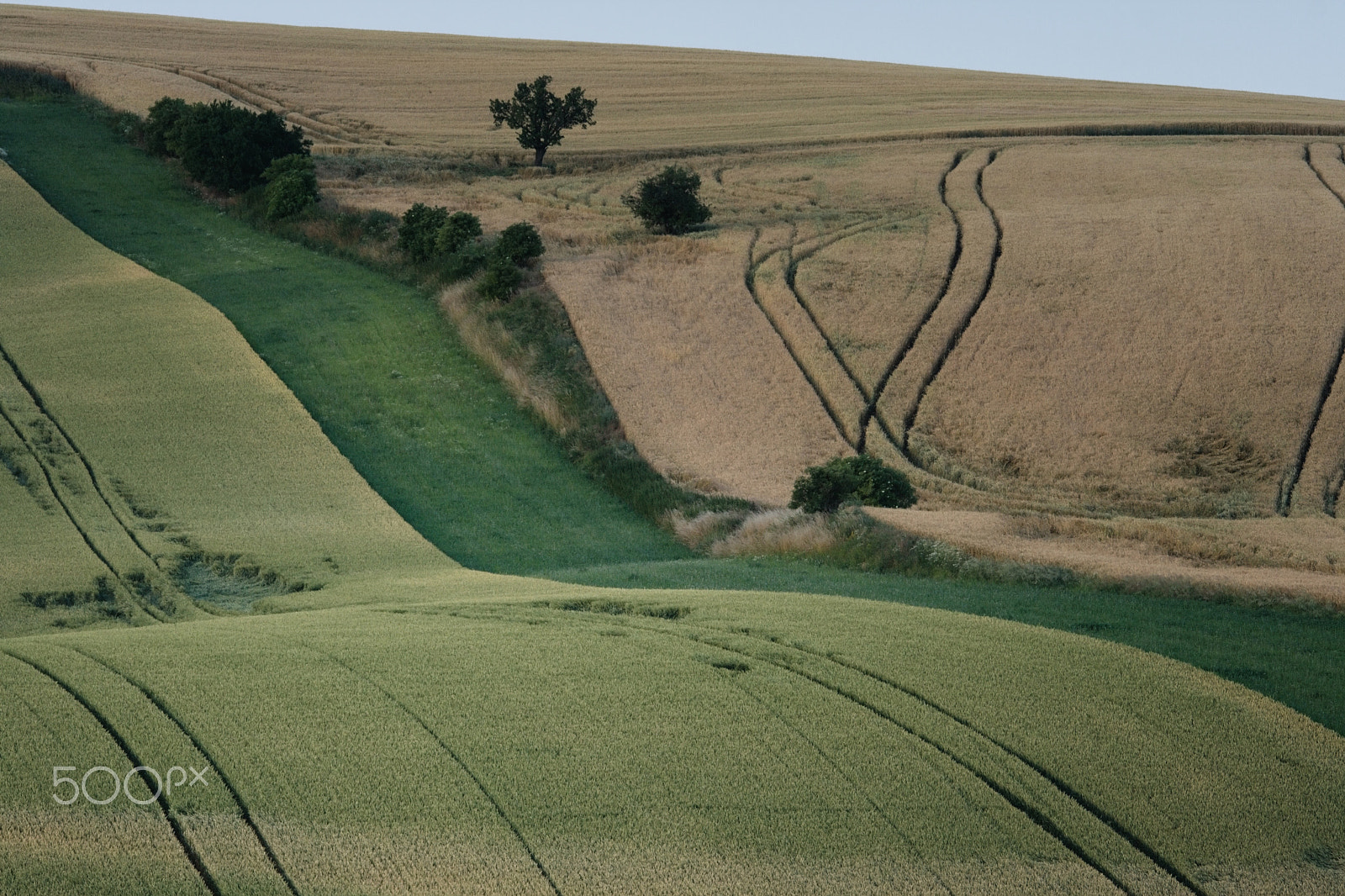 Sigma 150-500mm F5-6.3 DG OS HSM sample photo. Waves at moravian tuscany photography