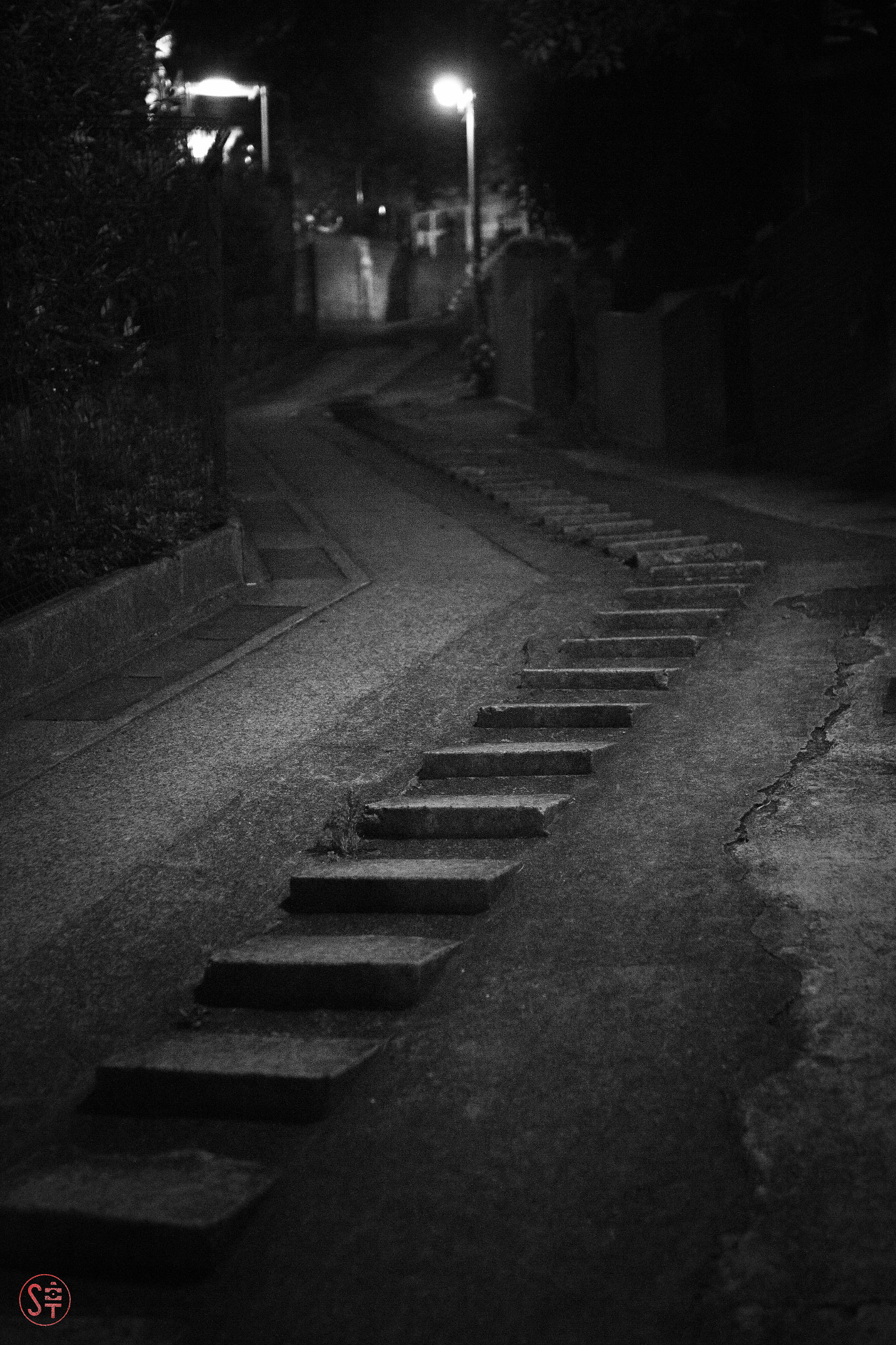 Sigma 30mm F1.4 EX DC HSM sample photo. 夜さんぽ photography