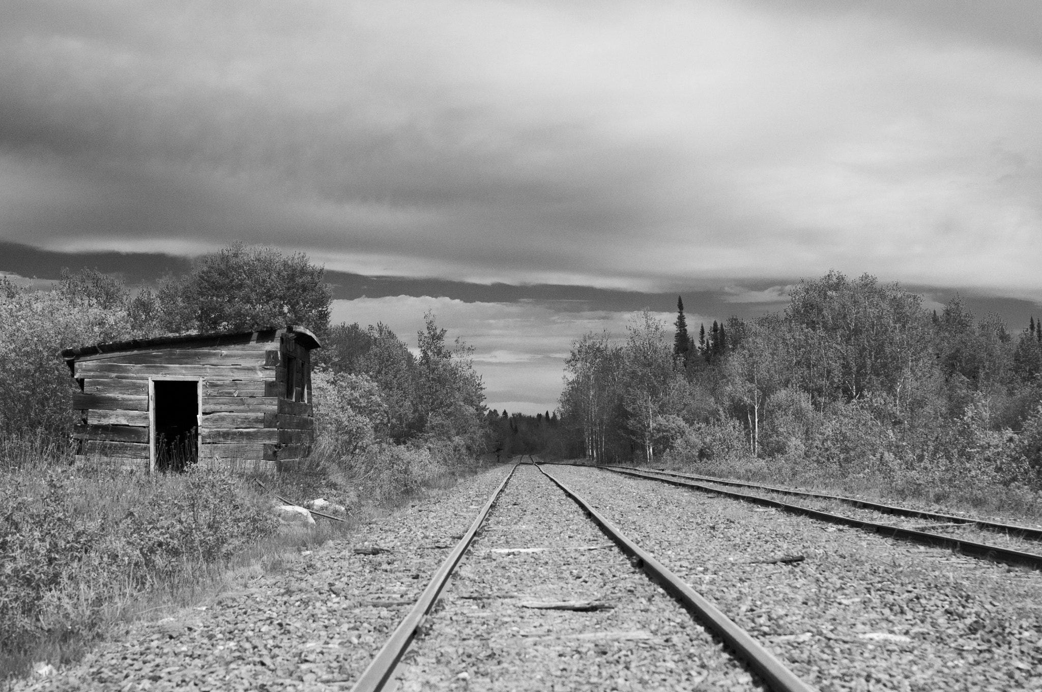 Nikon D300S + Samyang 35mm F1.4 AS UMC sample photo. Constance lake reserve photography