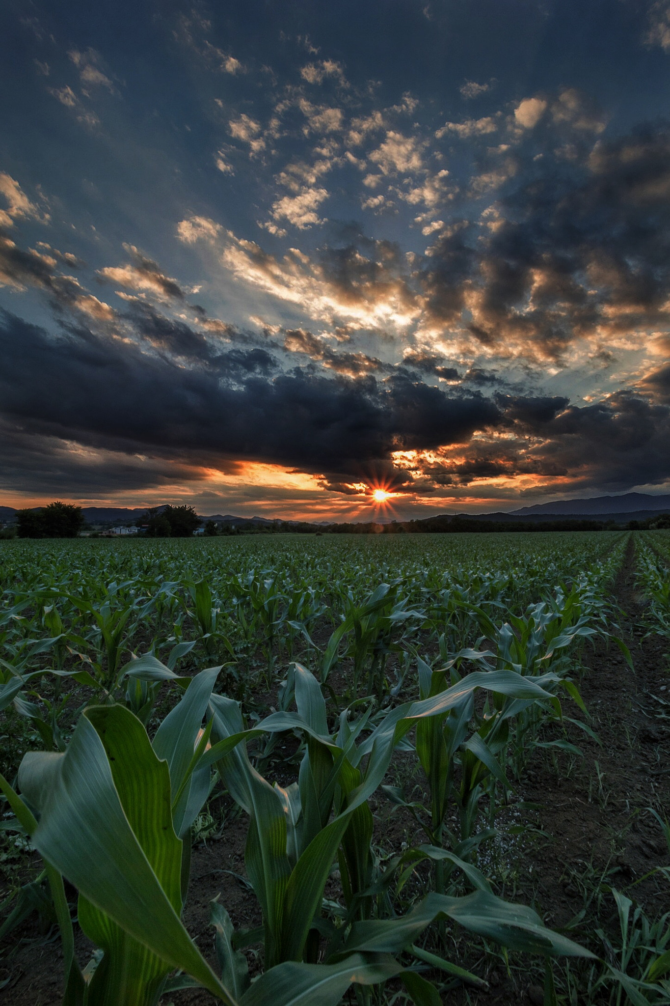 Canon EF-S 10-18mm F4.5–5.6 IS STM sample photo. Nei campi di lavoro photography