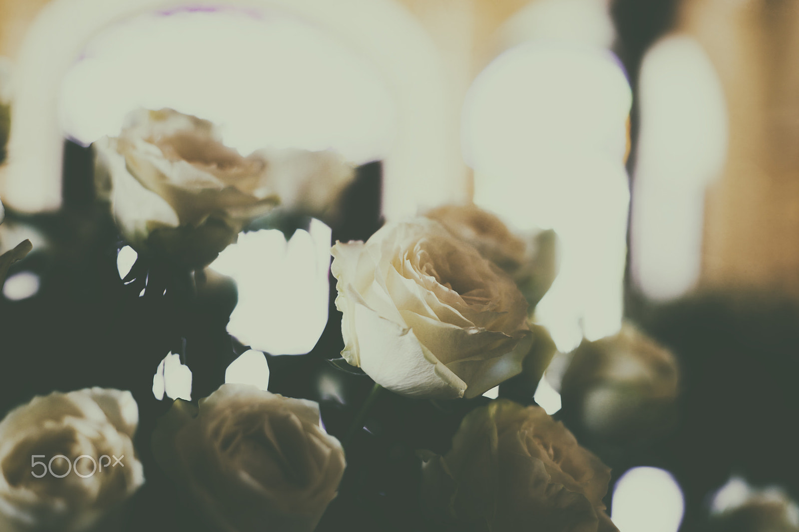 Sony Alpha DSLR-A850 + Minolta AF 50mm F1.7 sample photo. The bouquet photography