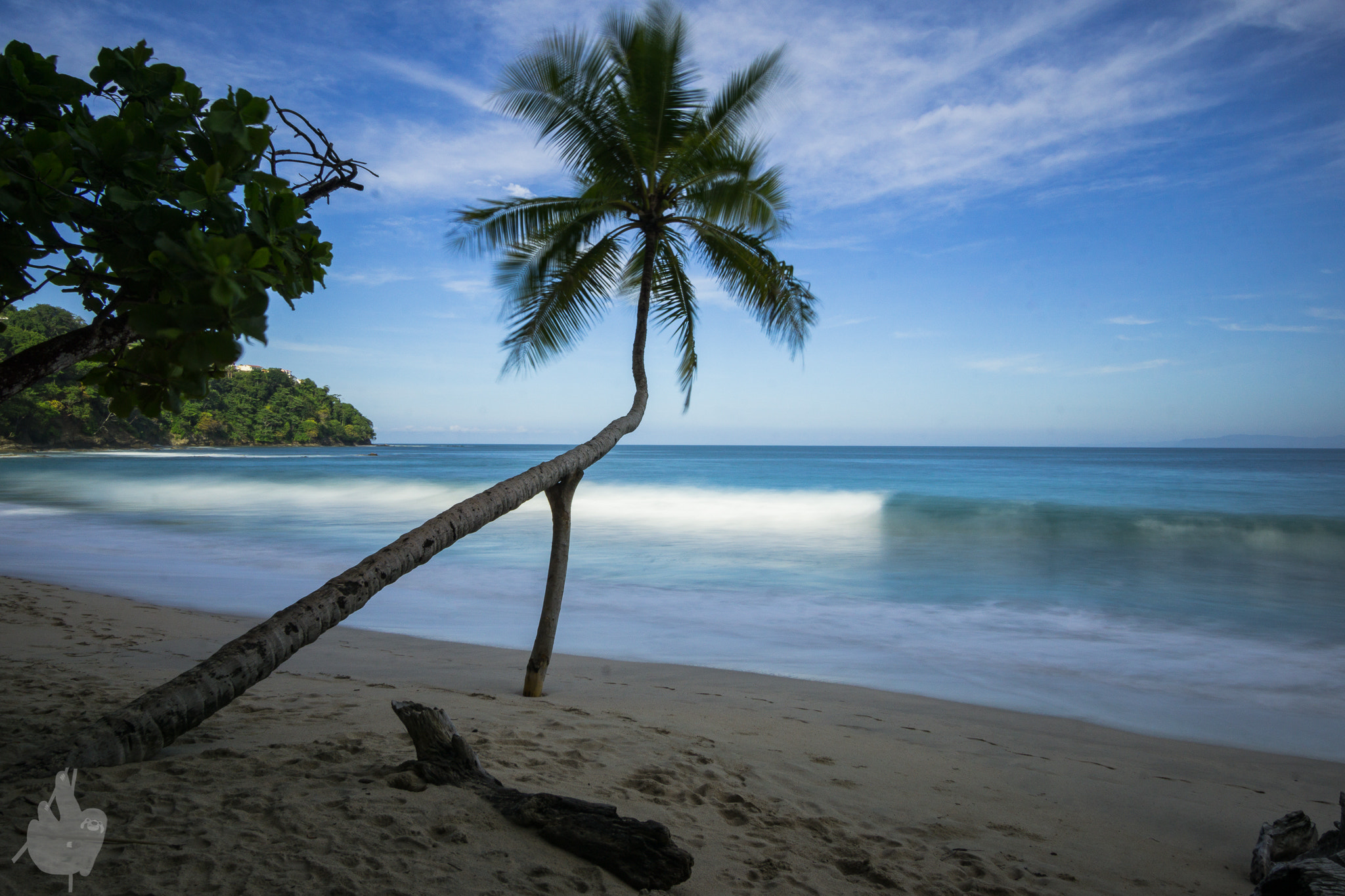 11-16mm F2.8 sample photo. Dream of tropicalization photography