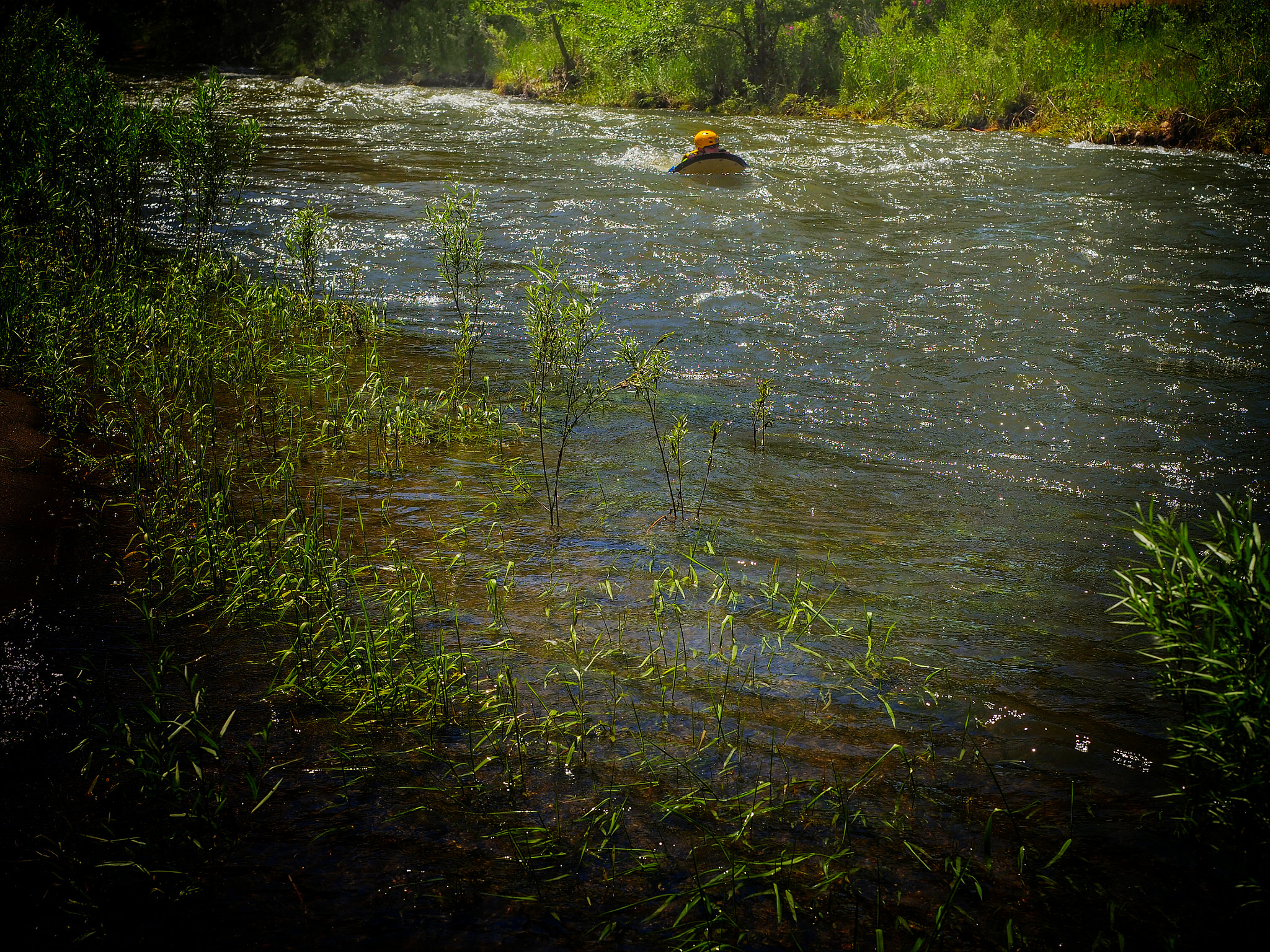 Olympus M.Zuiko Digital ED 12-40mm F2.8 Pro sample photo. Water rescue checking currents and levels. 6/26/16  photography