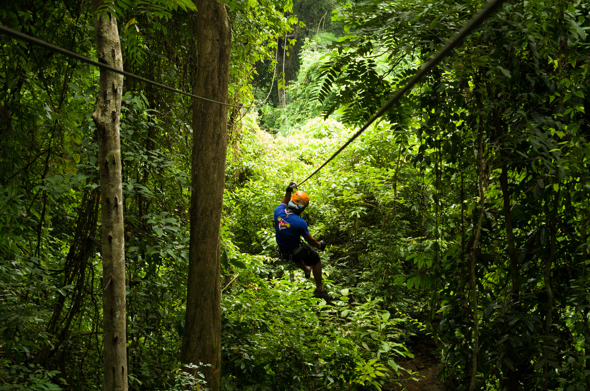 Pentax smc DA 18-55mm F3.5-5.6 AL sample photo. Ziplining in chiang mai photography