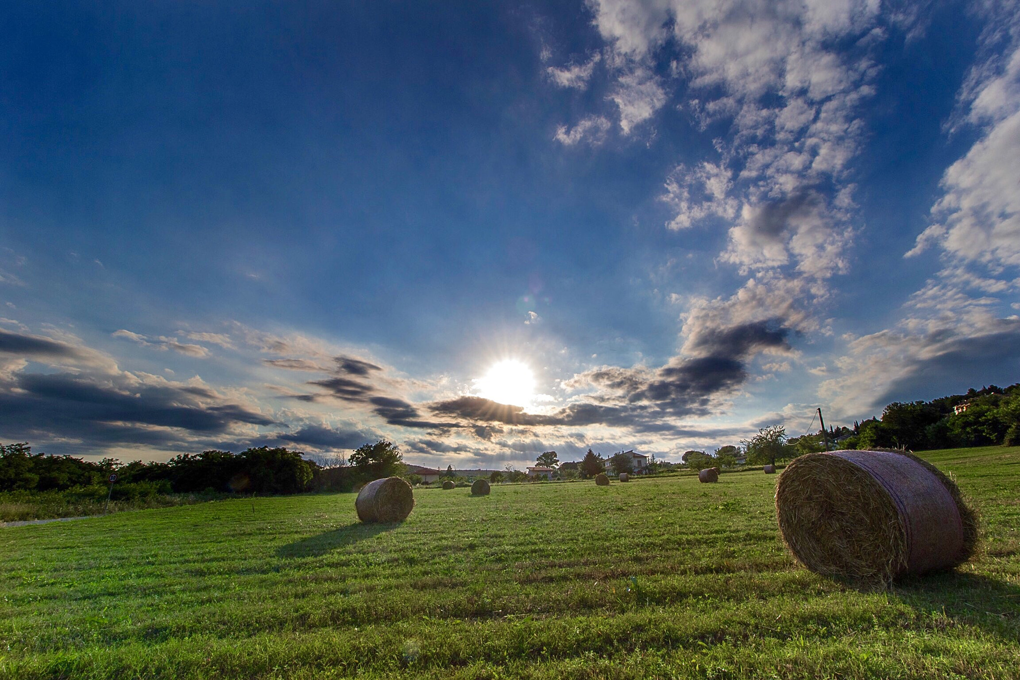 Canon EOS 7D Mark II + Canon EF-S 10-18mm F4.5–5.6 IS STM sample photo