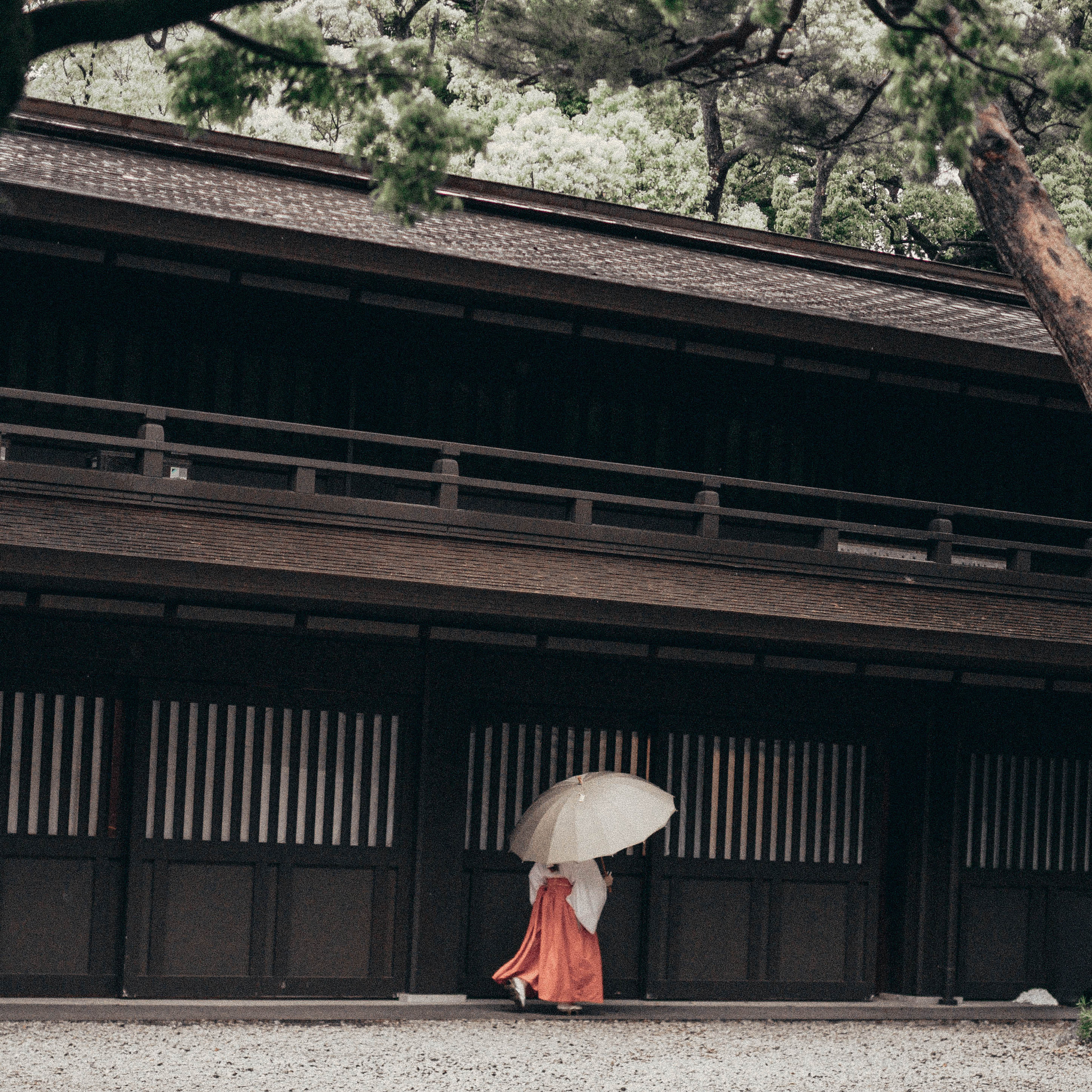 Sigma 50mm F1.4 EX DG HSM sample photo. Meiji jingu temple photography