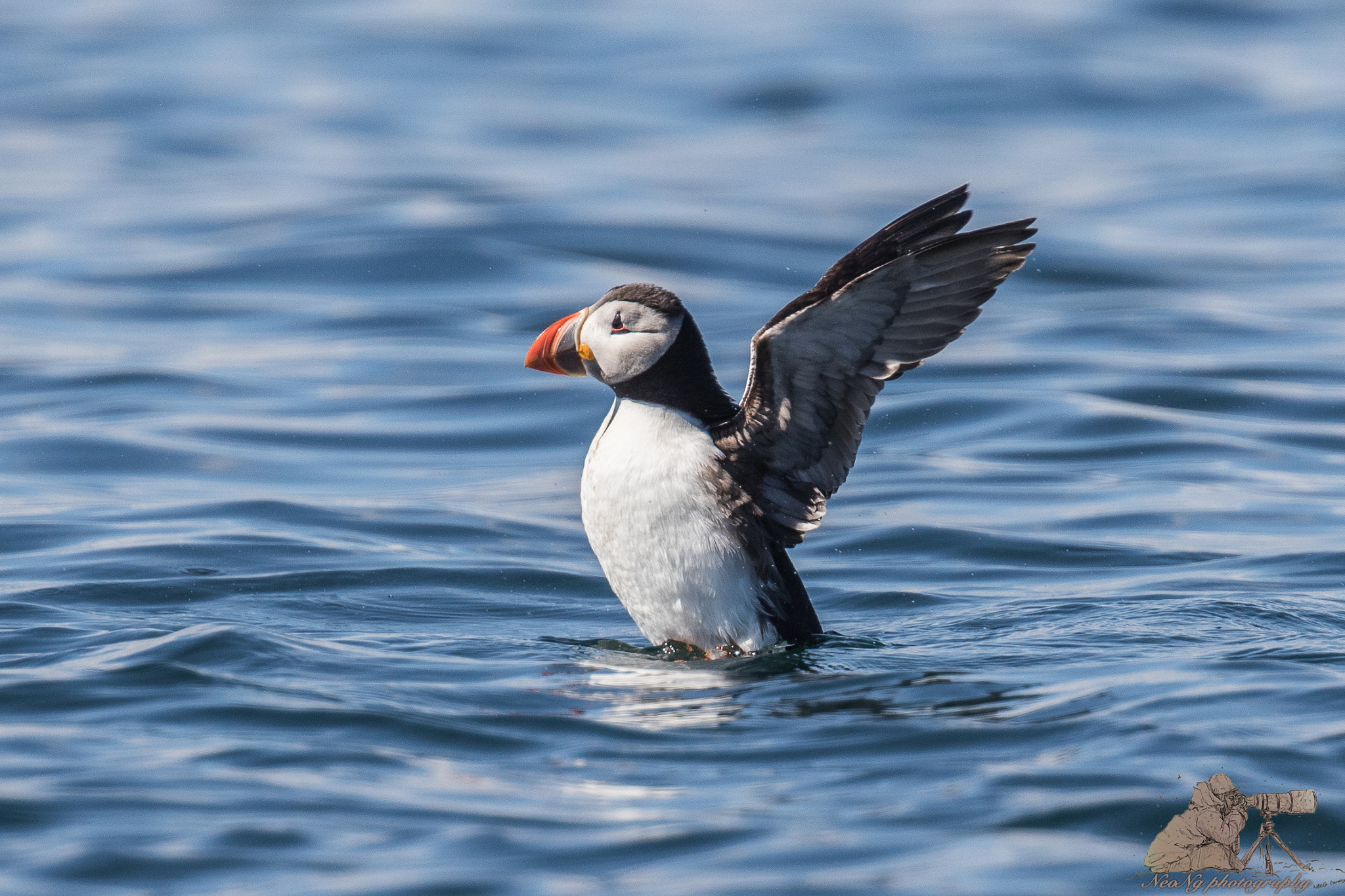 Canon EF 300mm F2.8L IS II USM sample photo. Neo_1184.jpg photography