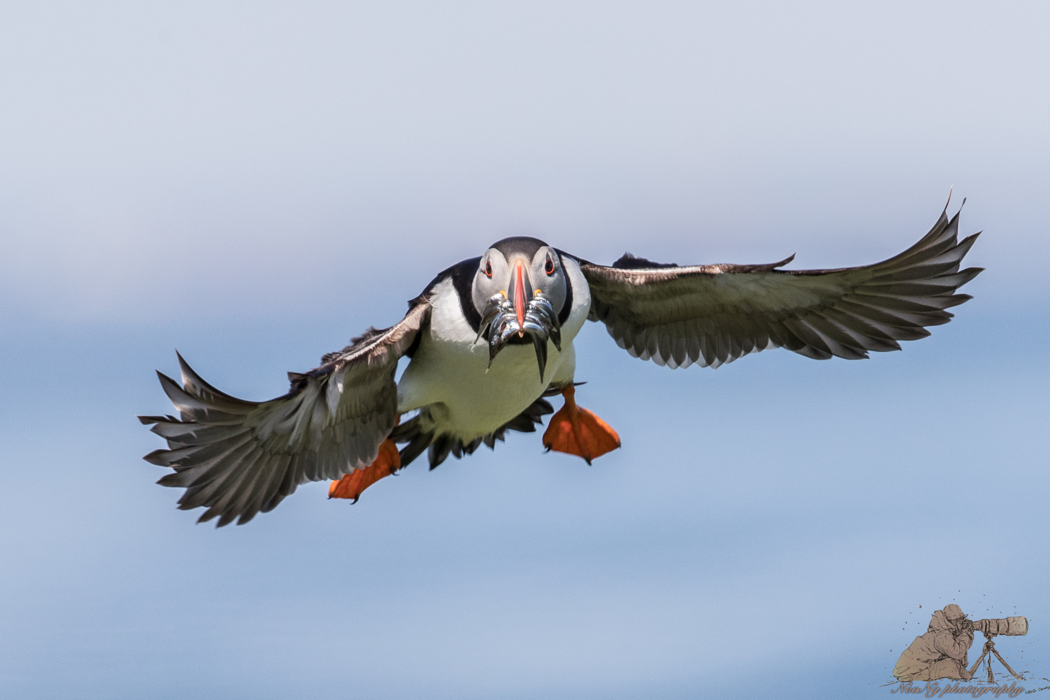 Canon EF 300mm F2.8L IS II USM sample photo. Neo_1607-2.jpg photography
