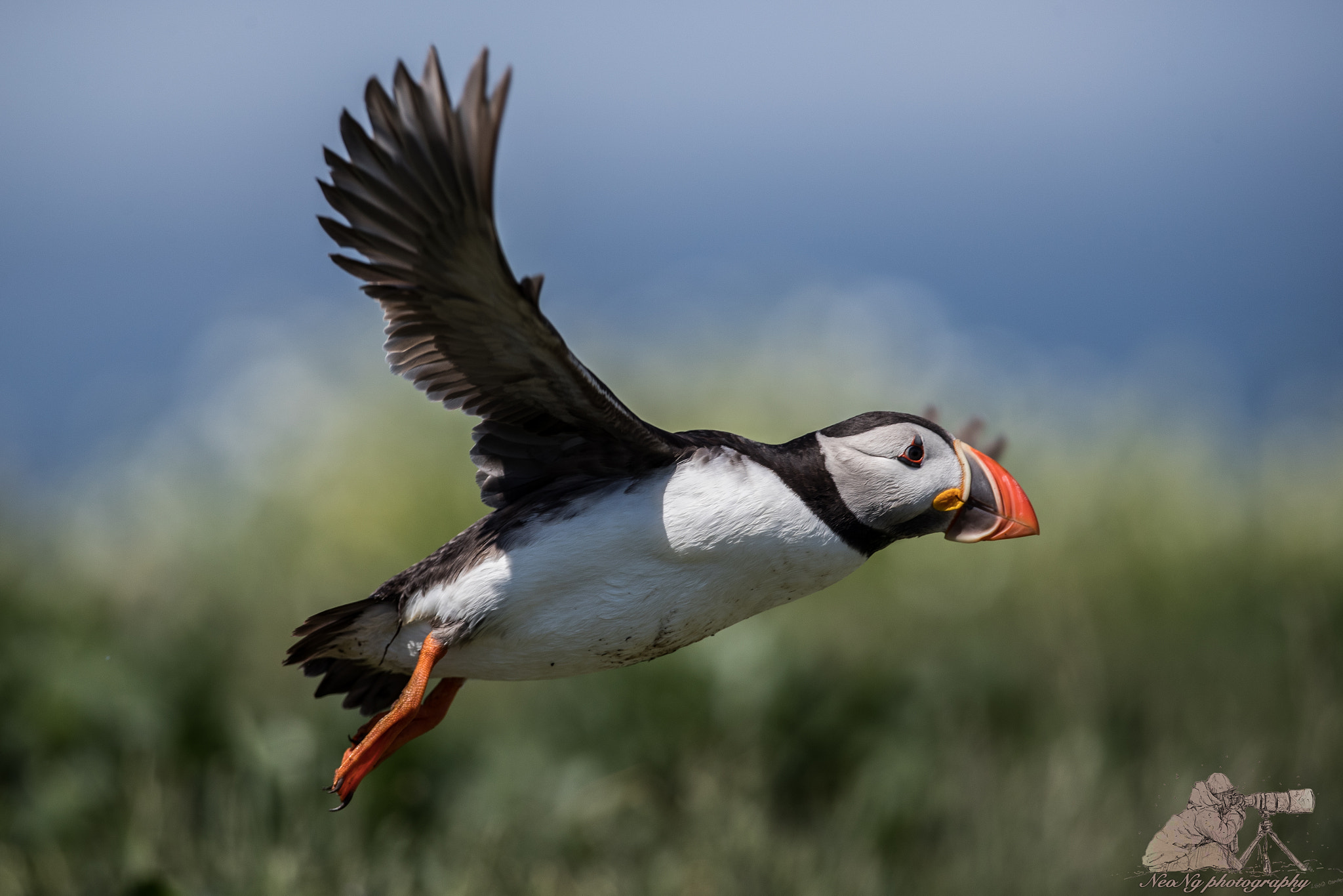 Canon EF 300mm F2.8L IS II USM sample photo. Neo_3978.jpg photography